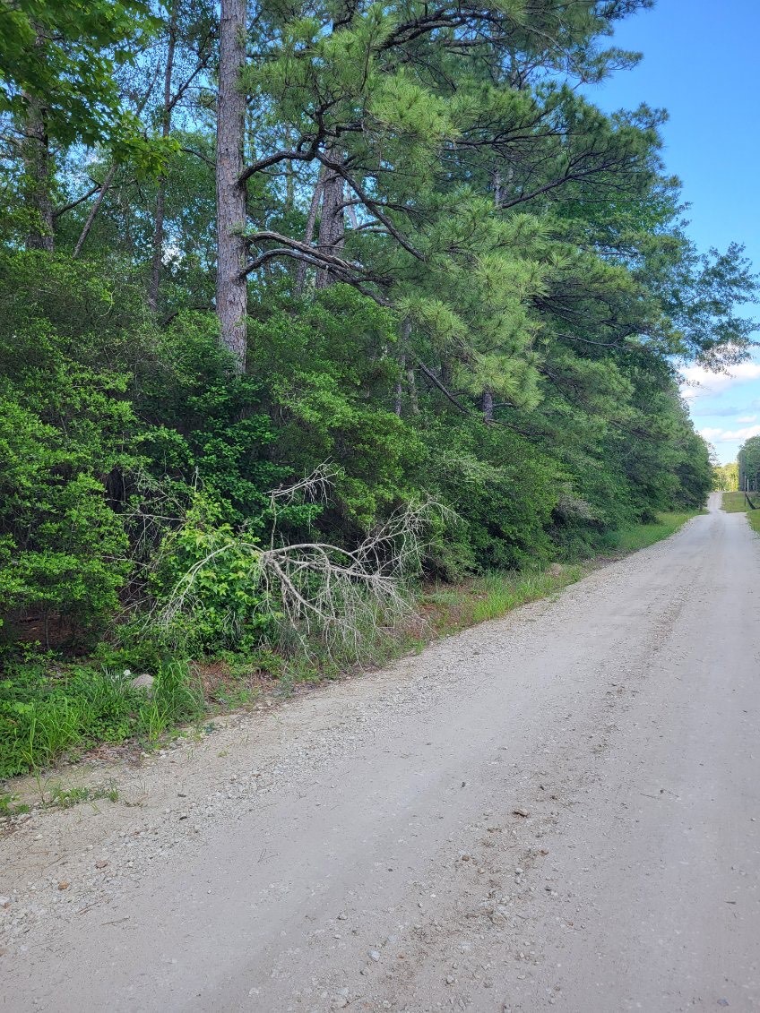 L46126 Reily Village Property Photo 3