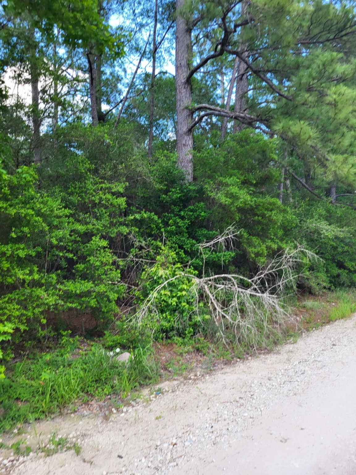 L46126 Reily Village Property Photo 4