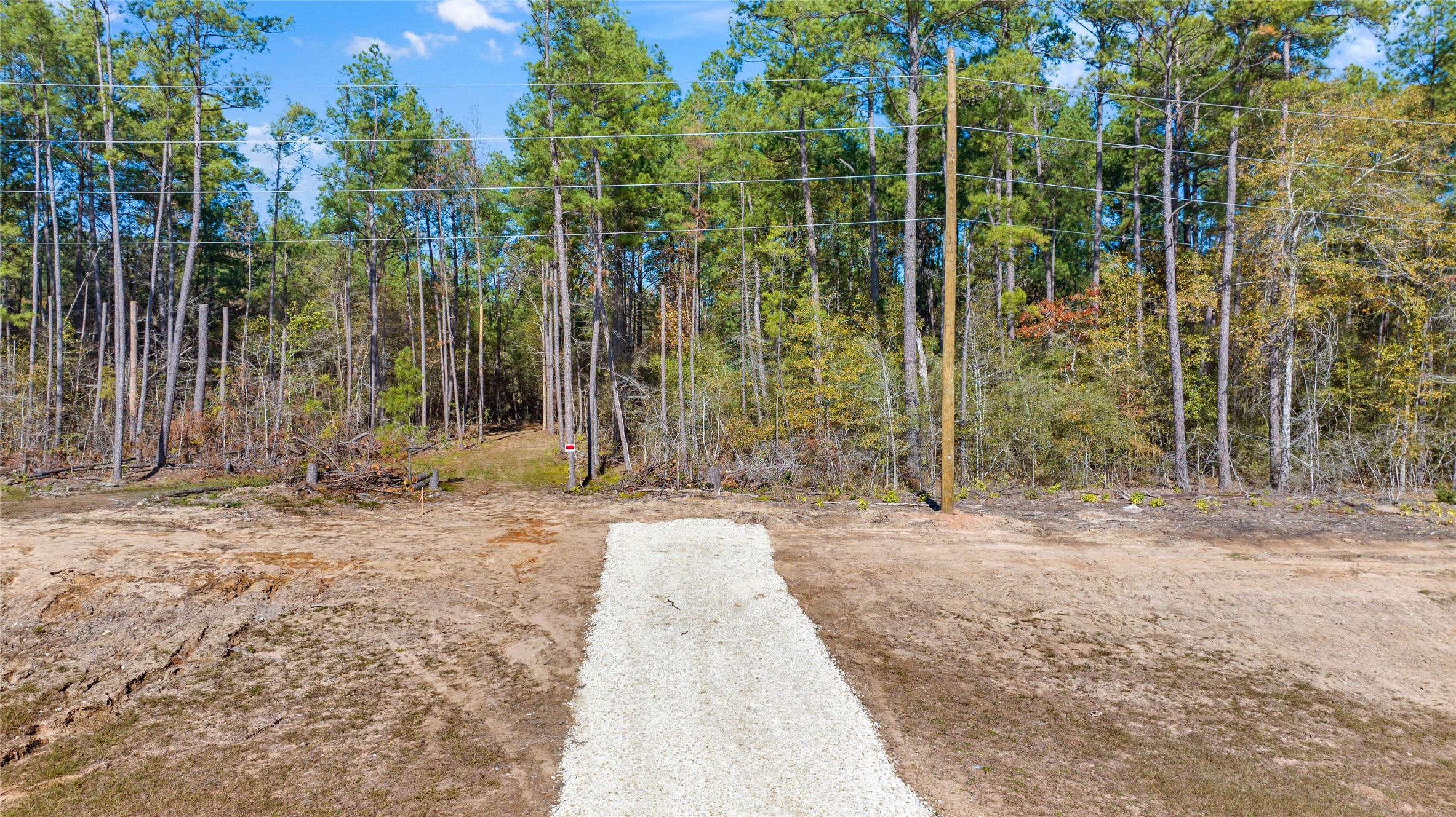 0035 Hwy 249 Property Photo 4