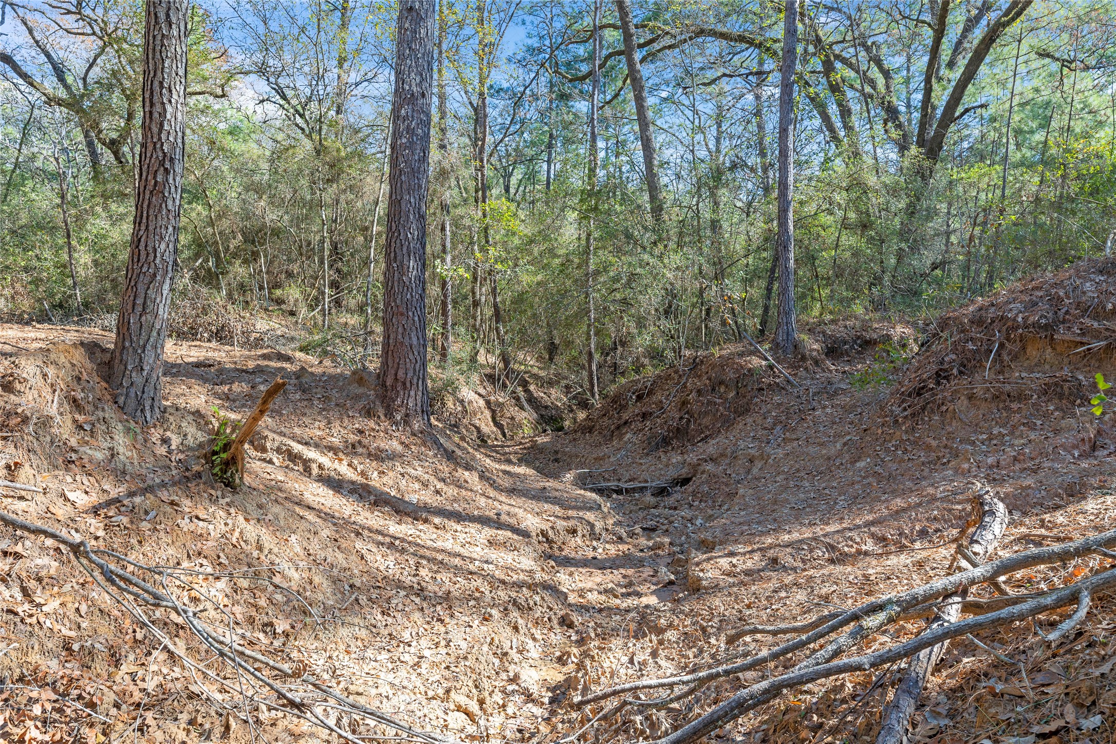 0035 Hwy 249 Property Photo 5