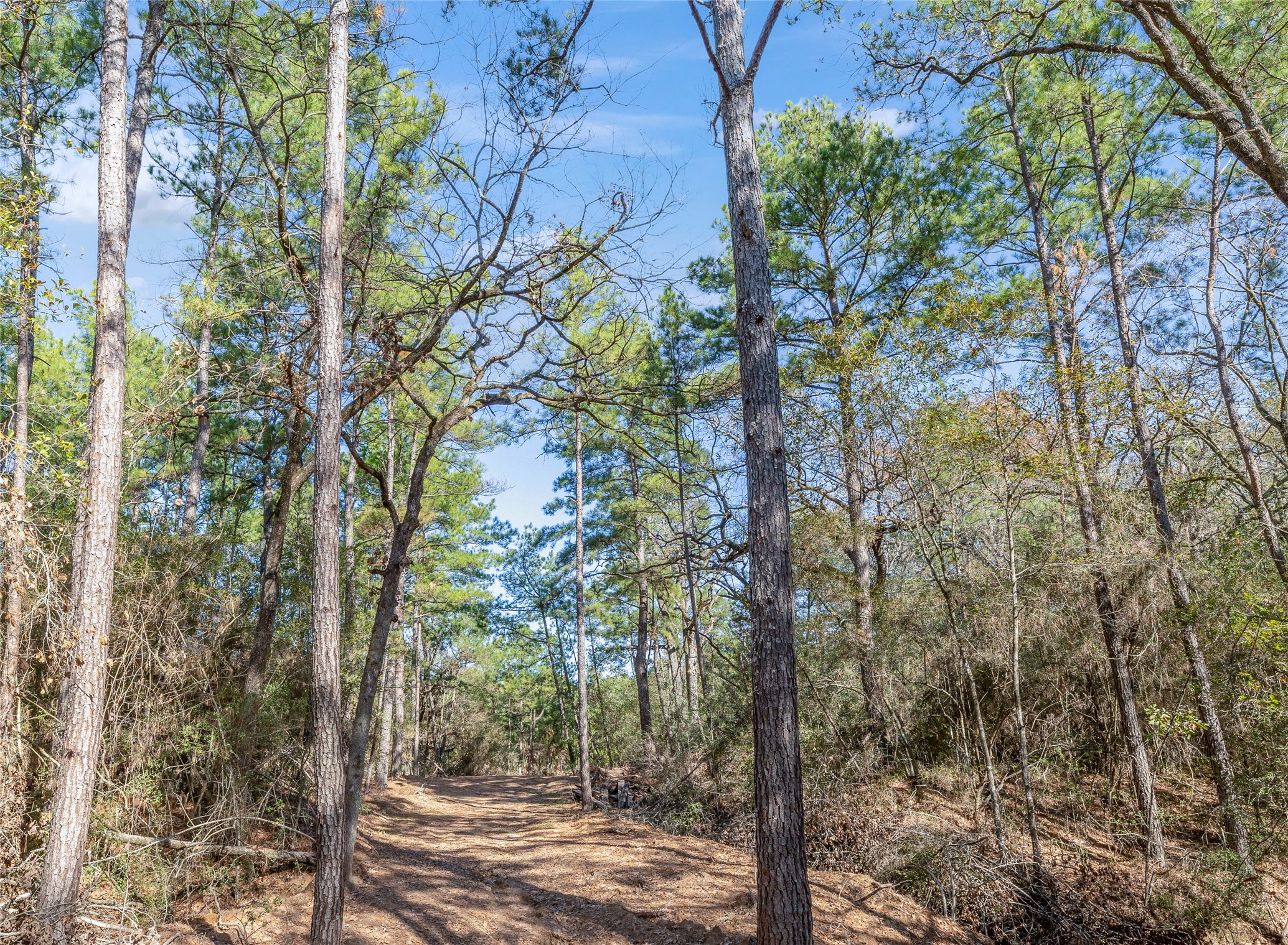 0035 Hwy 249 Property Photo 6