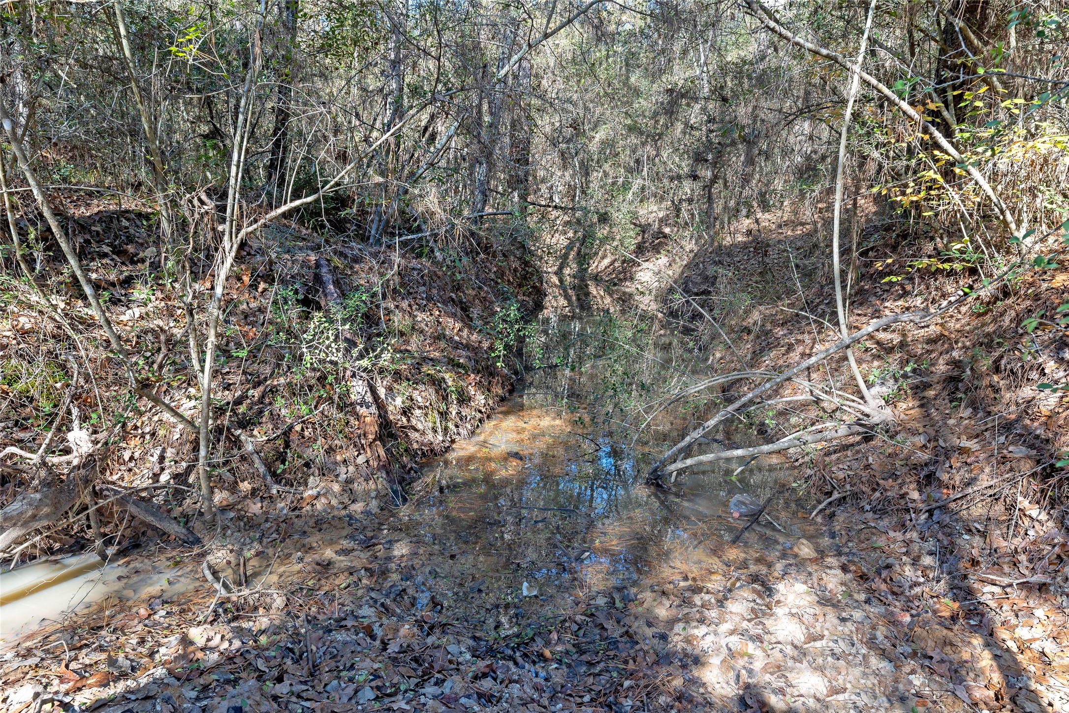 0035 Hwy 249 Property Photo 7