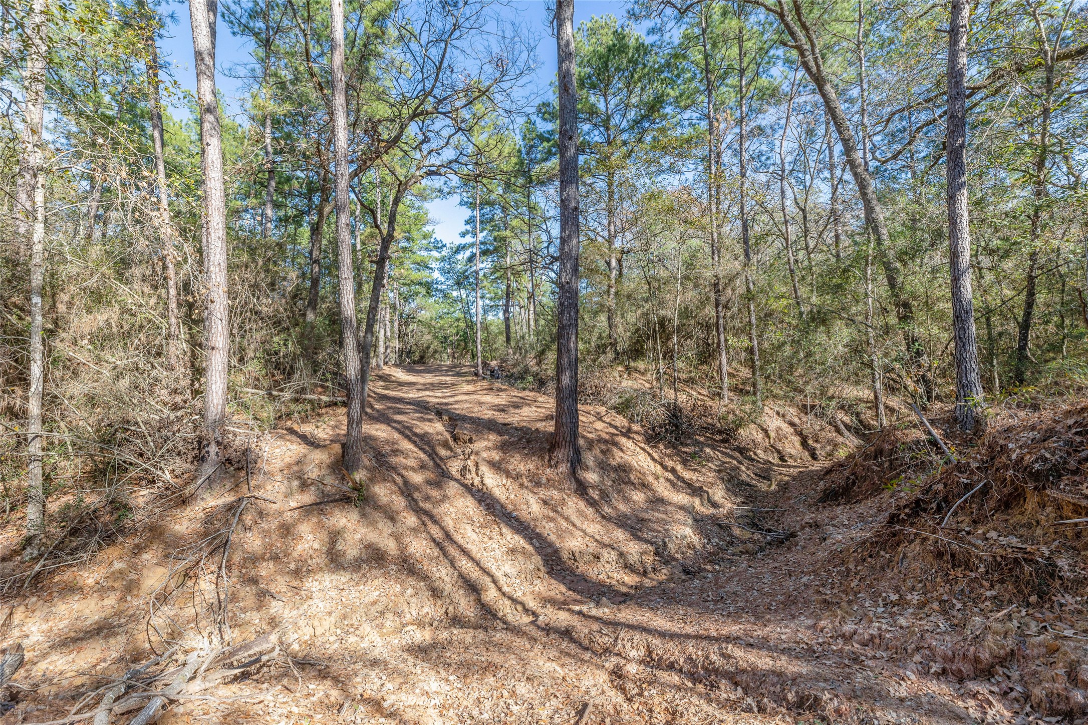 0035 Hwy 249 Property Photo 8