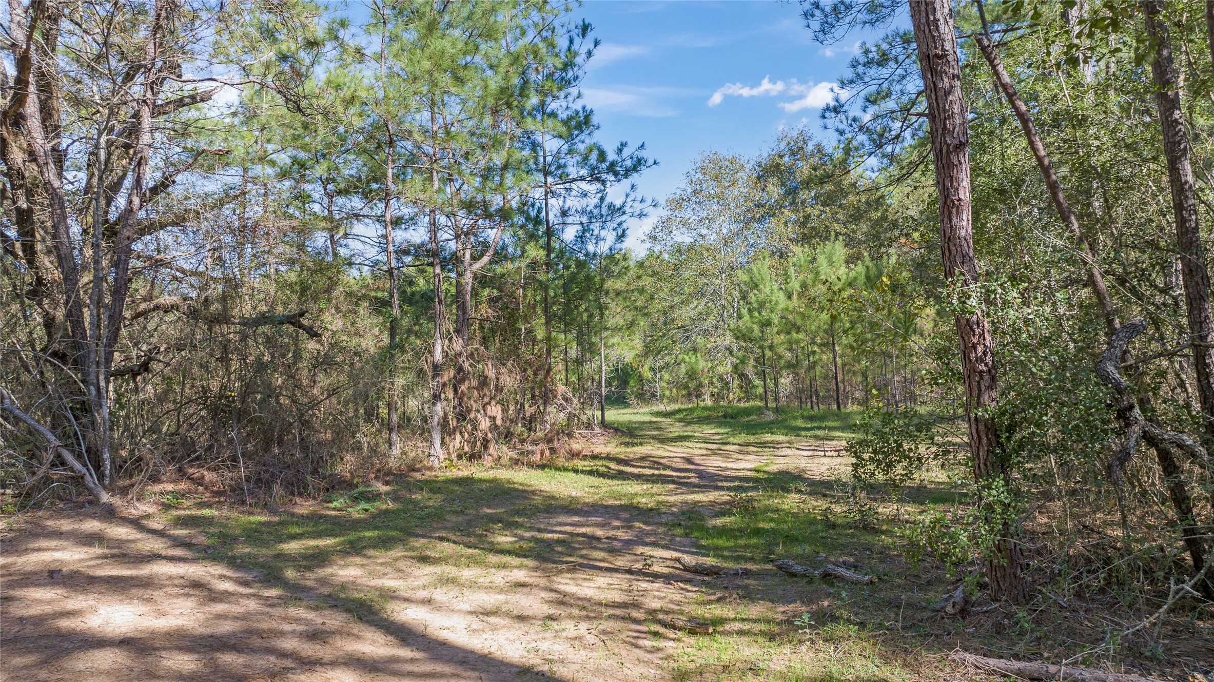 0035 Hwy 249 Property Photo 10