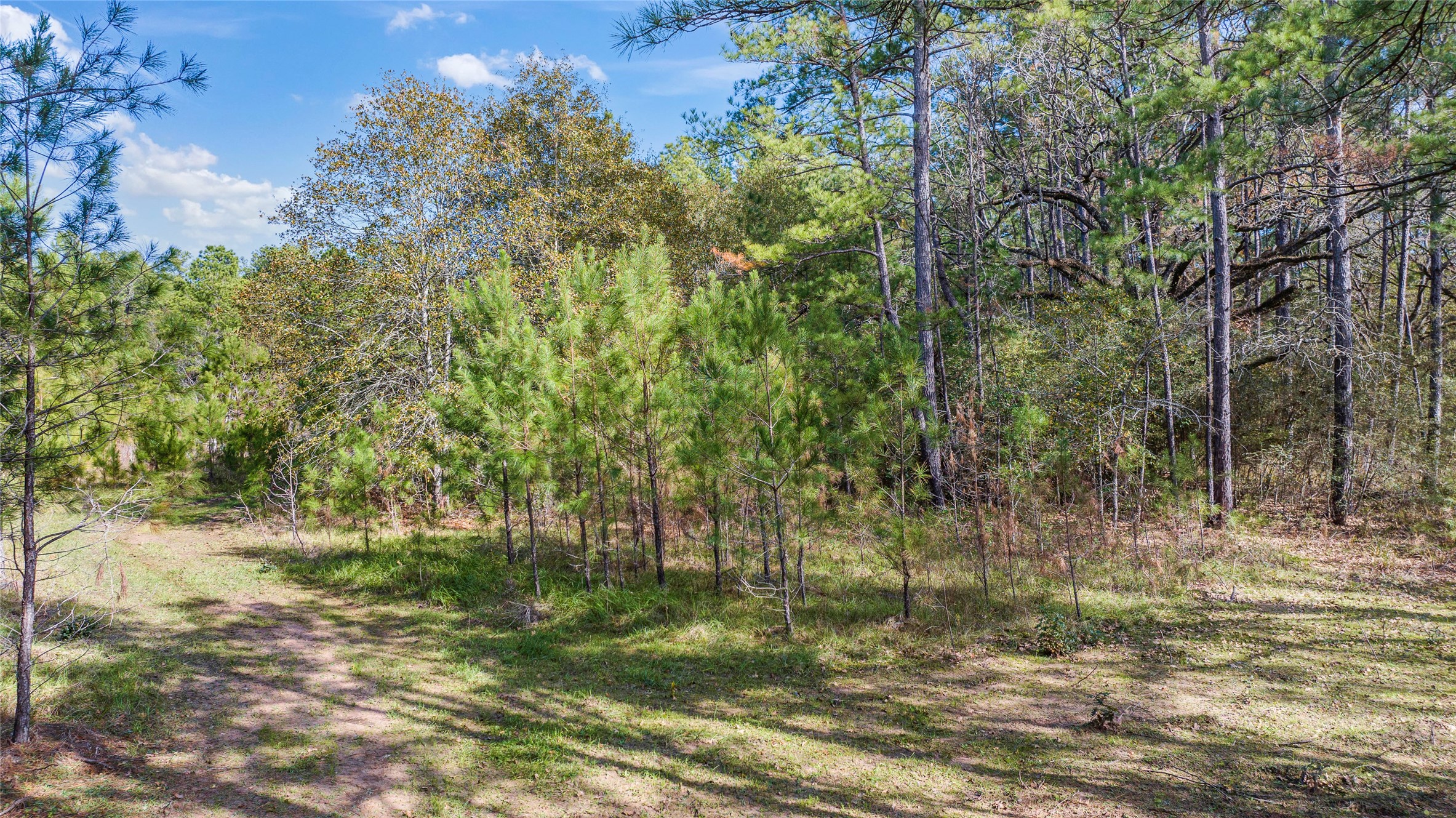 0035 Hwy 249 Property Photo 13
