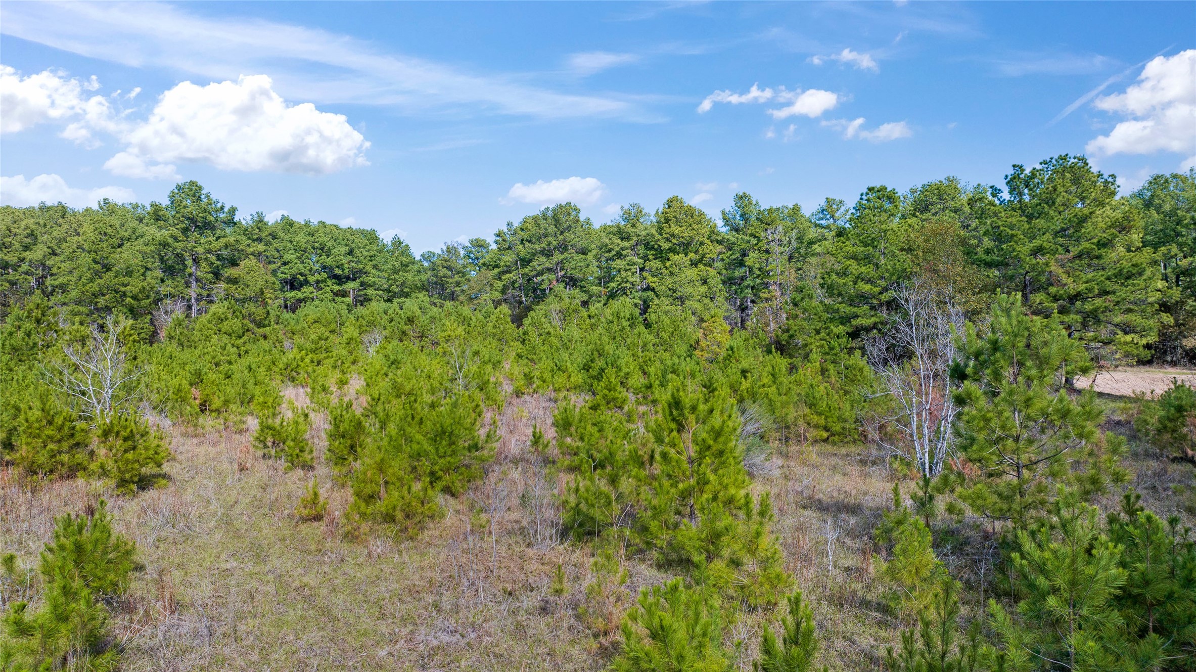 0035 Hwy 249 Property Photo 14
