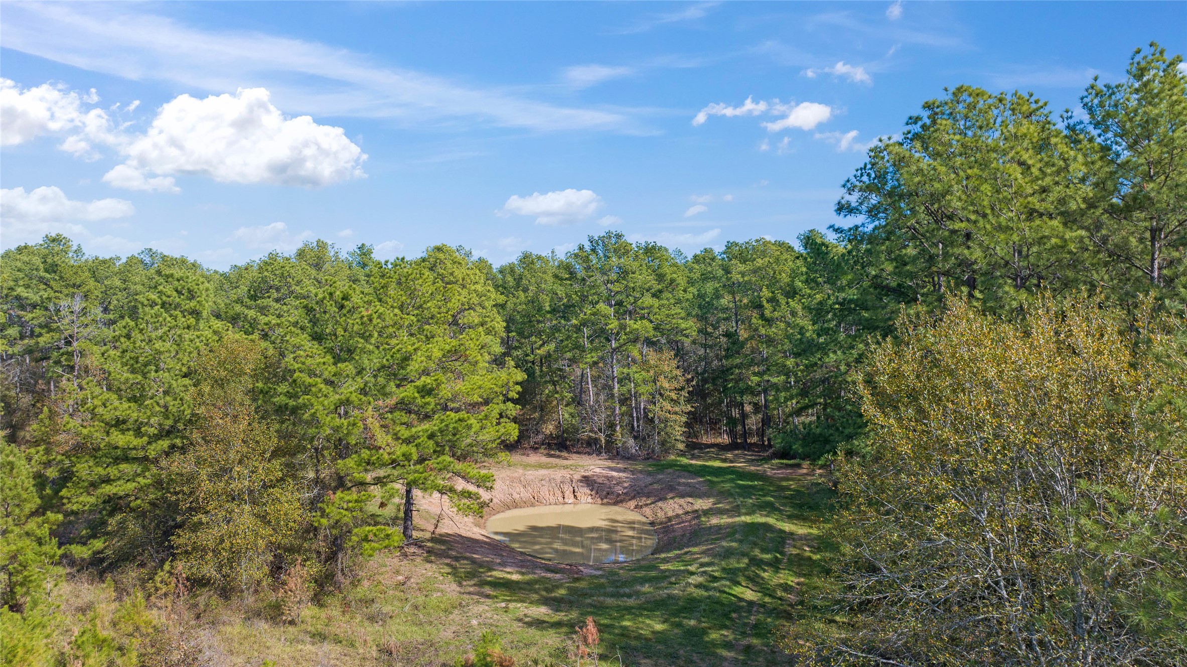 0035 Hwy 249 Property Photo 16