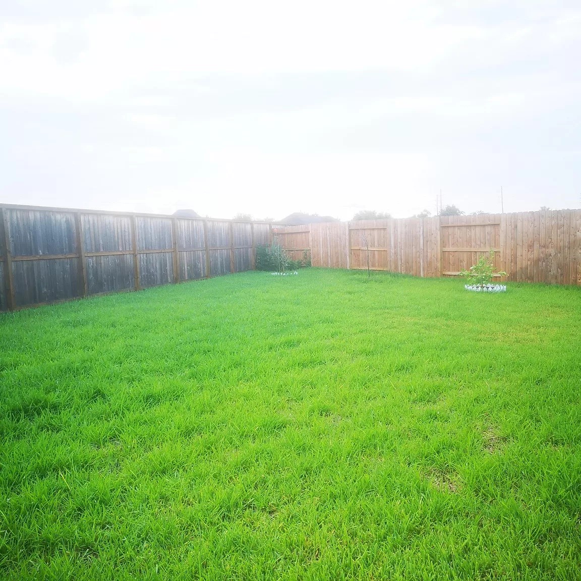6506 Cody Mountain Trail Property Photo 7