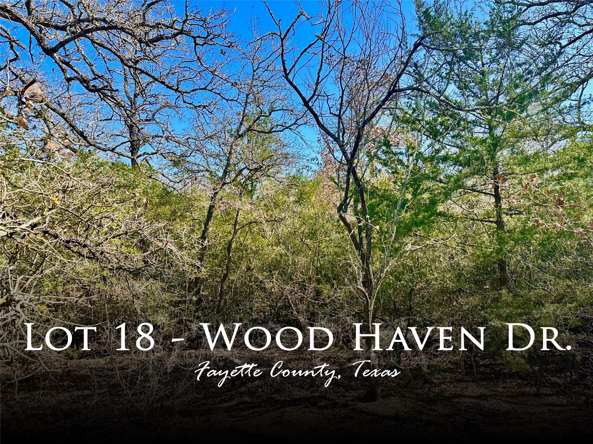 0 Wood Haven Drive Property Photo