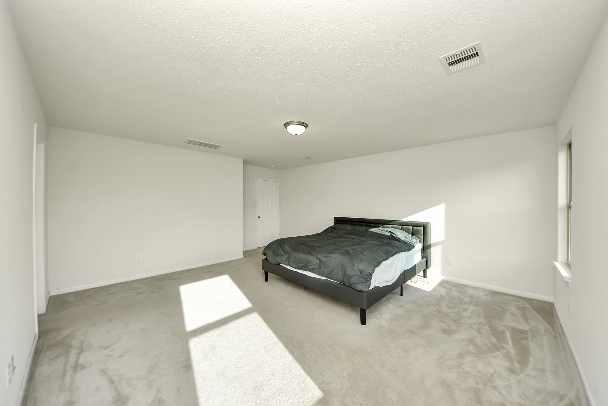 13006 Mills Creek Meadow Drive Property Photo 23