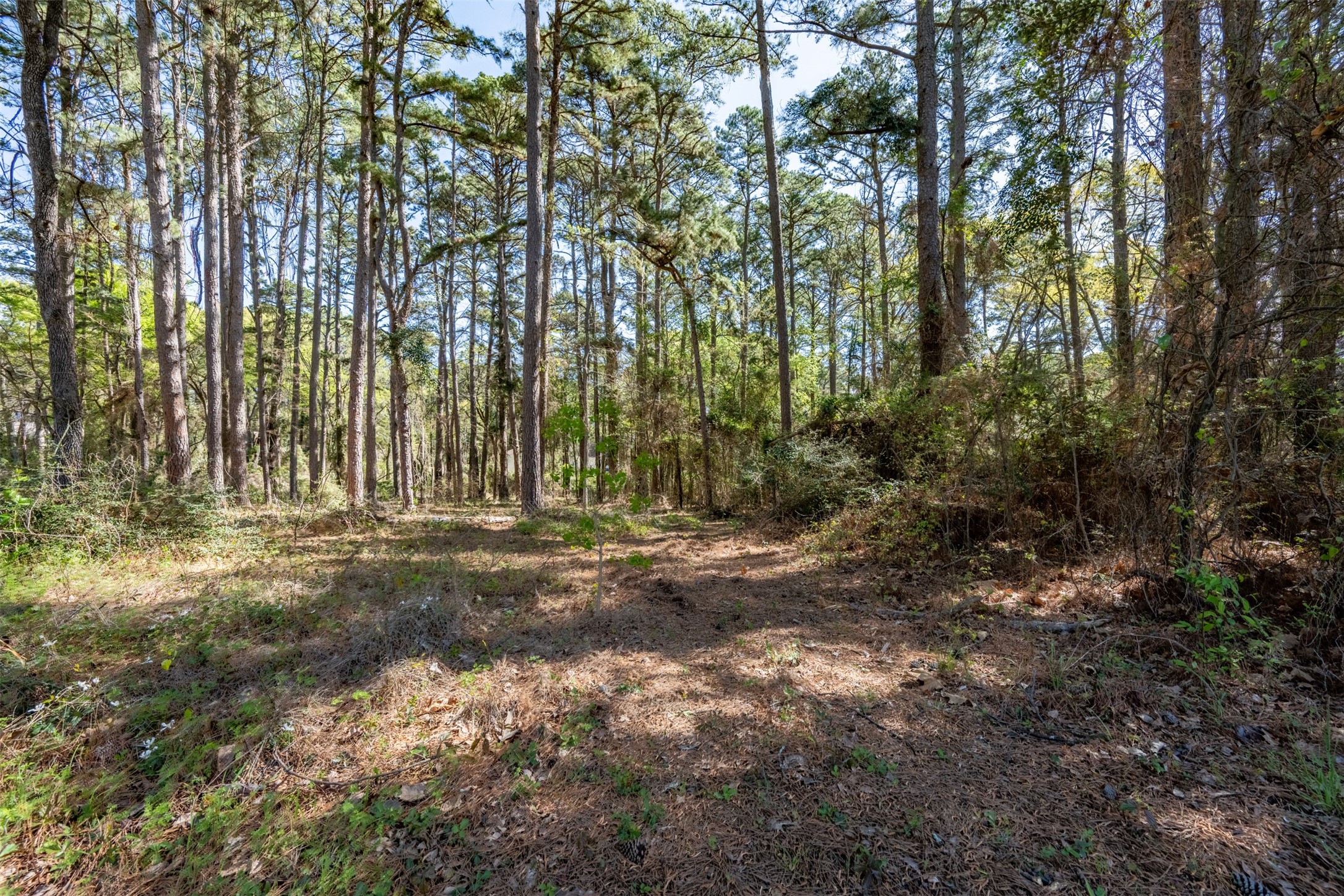 18591 & 18609 Lazy Lane Property Photo 11