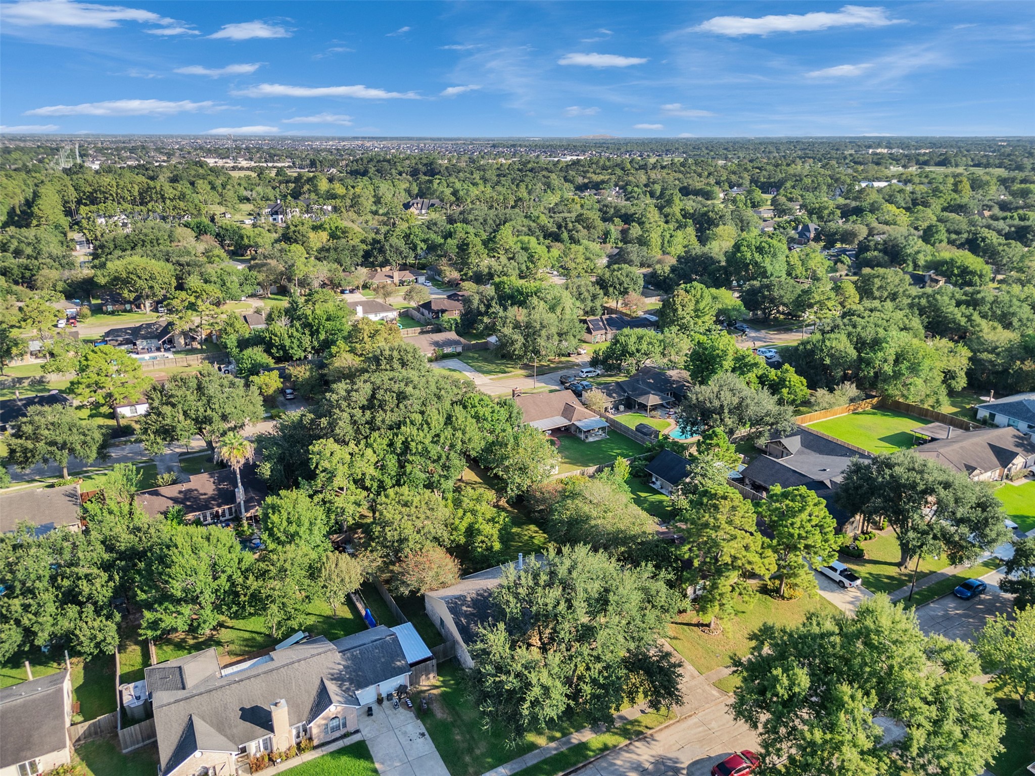 1208 Piney Woods Drive Property Photo 4