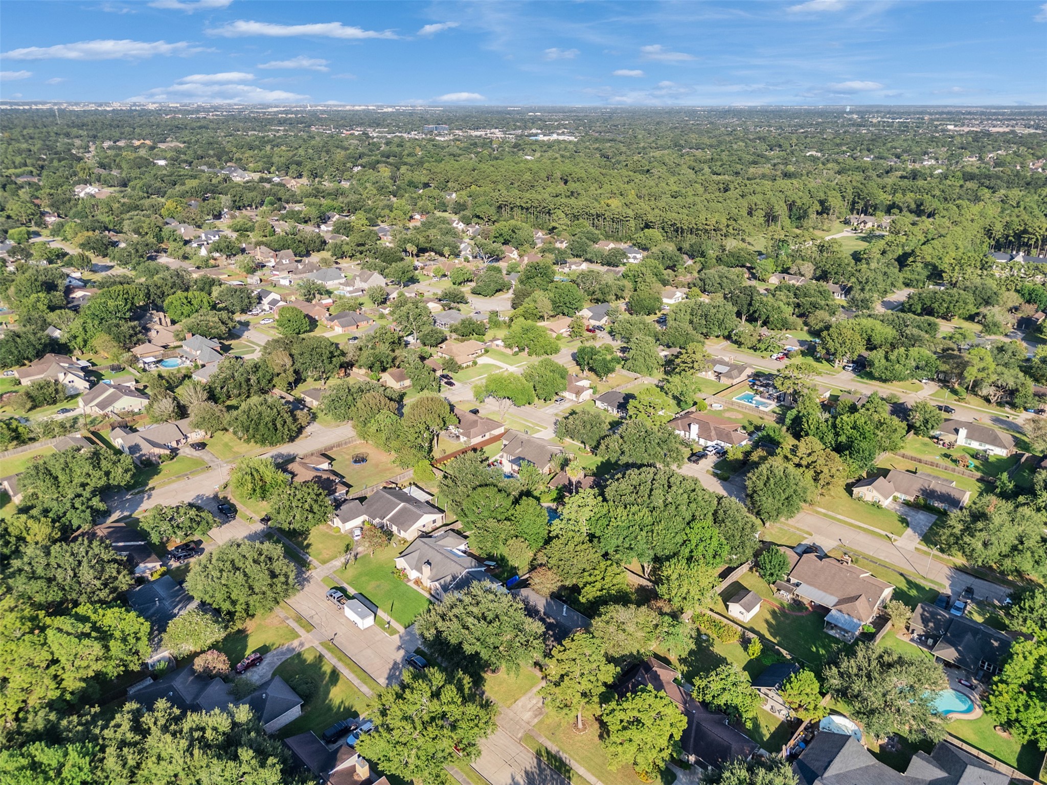 1208 Piney Woods Drive Property Photo 8