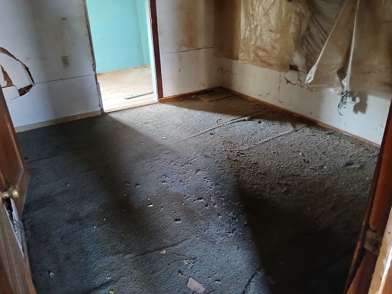 1805 E 1st Street Property Photo 5