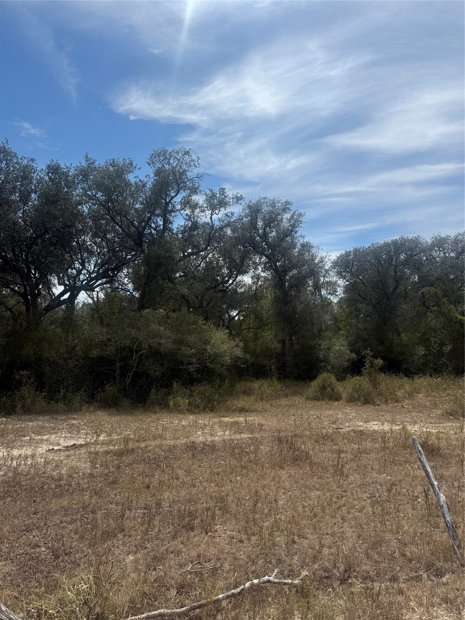 Tbd County Road 357 Property Photo 14