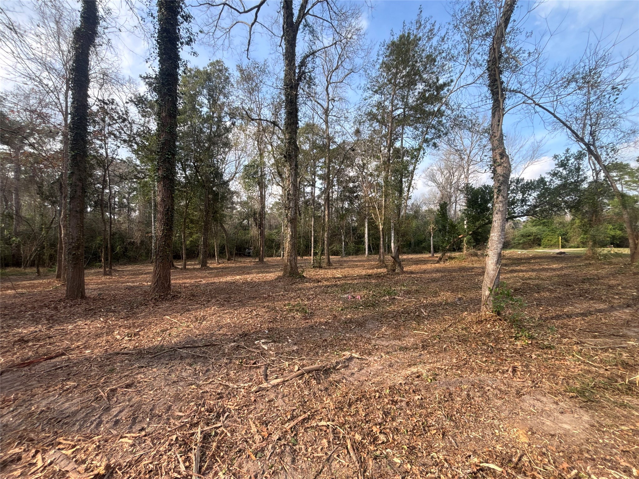 1742 Woodway Drive Property Photo 2