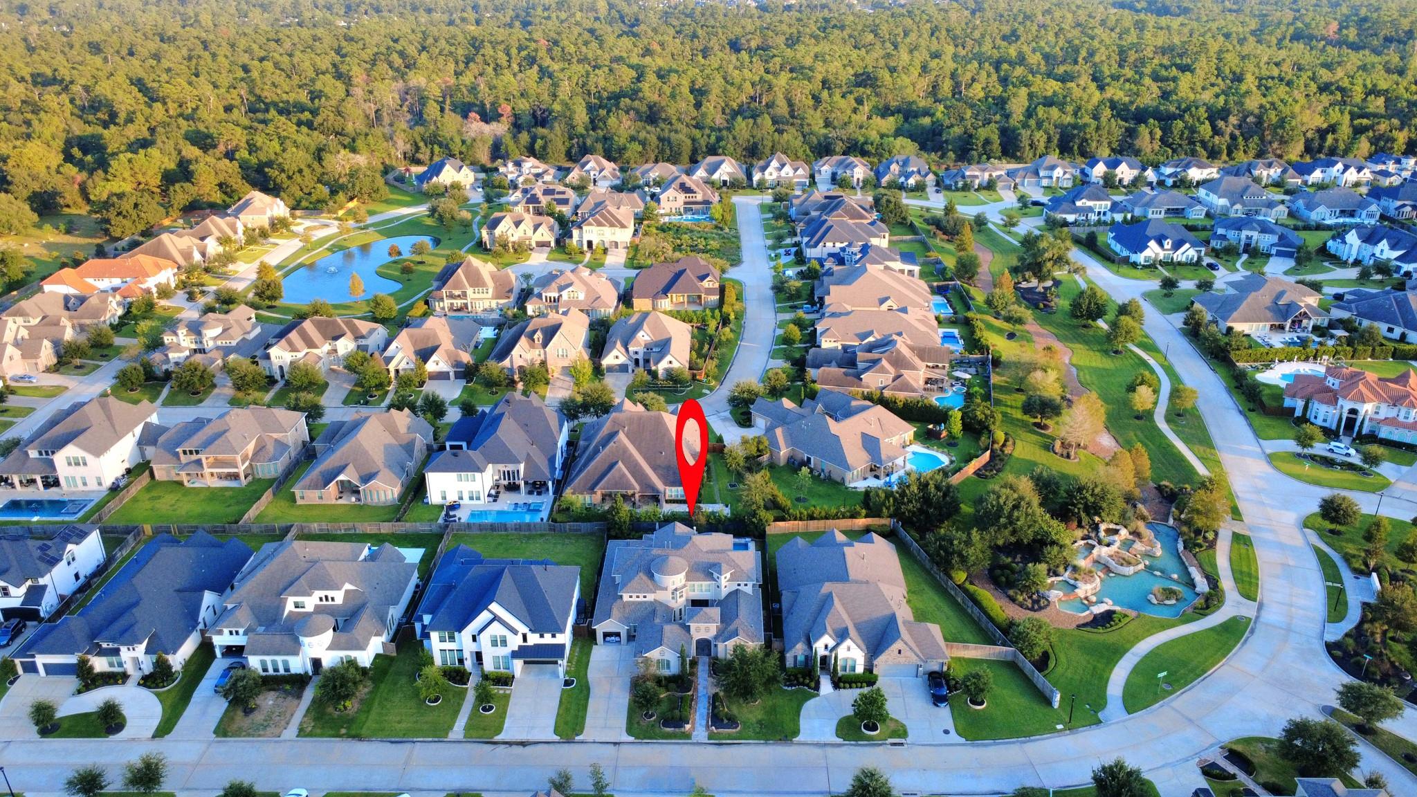 12821 N Palomino Lake Circle Property Photo 7