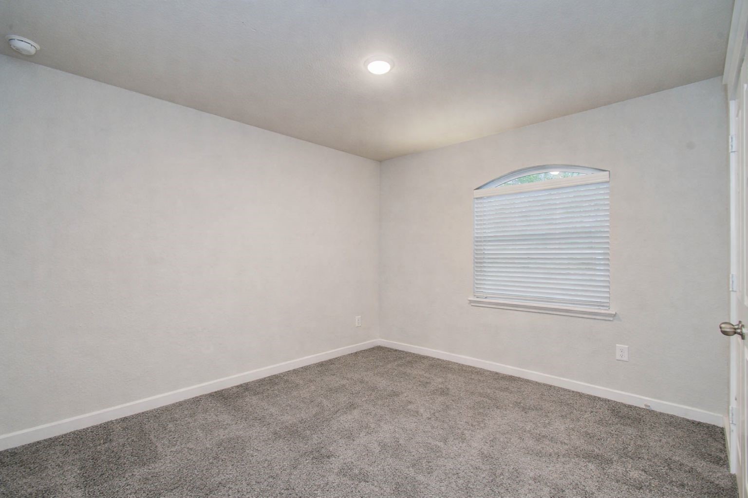 4773 Peony Green Drive Property Photo 17