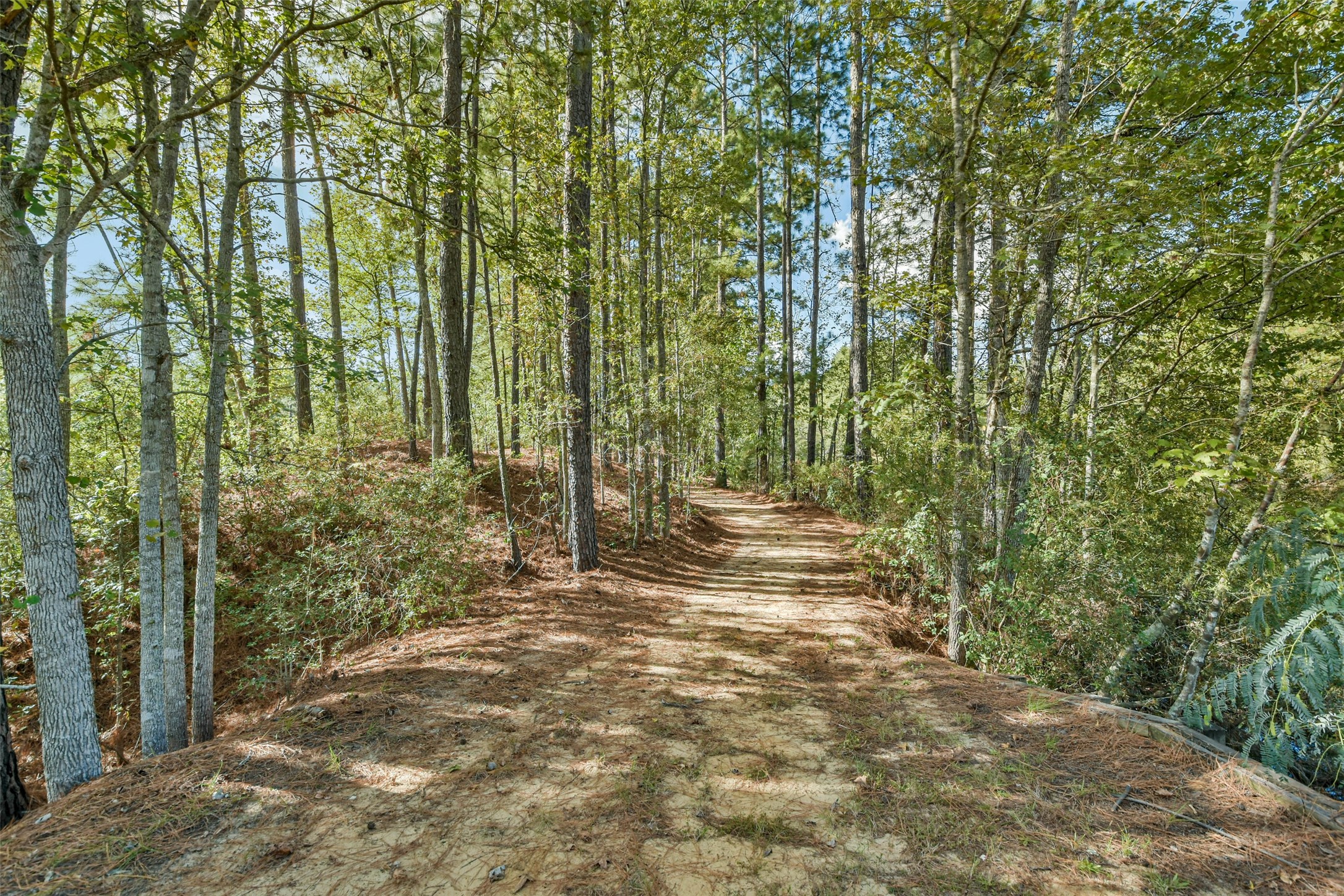 55 Nottingham Island Property Photo 13