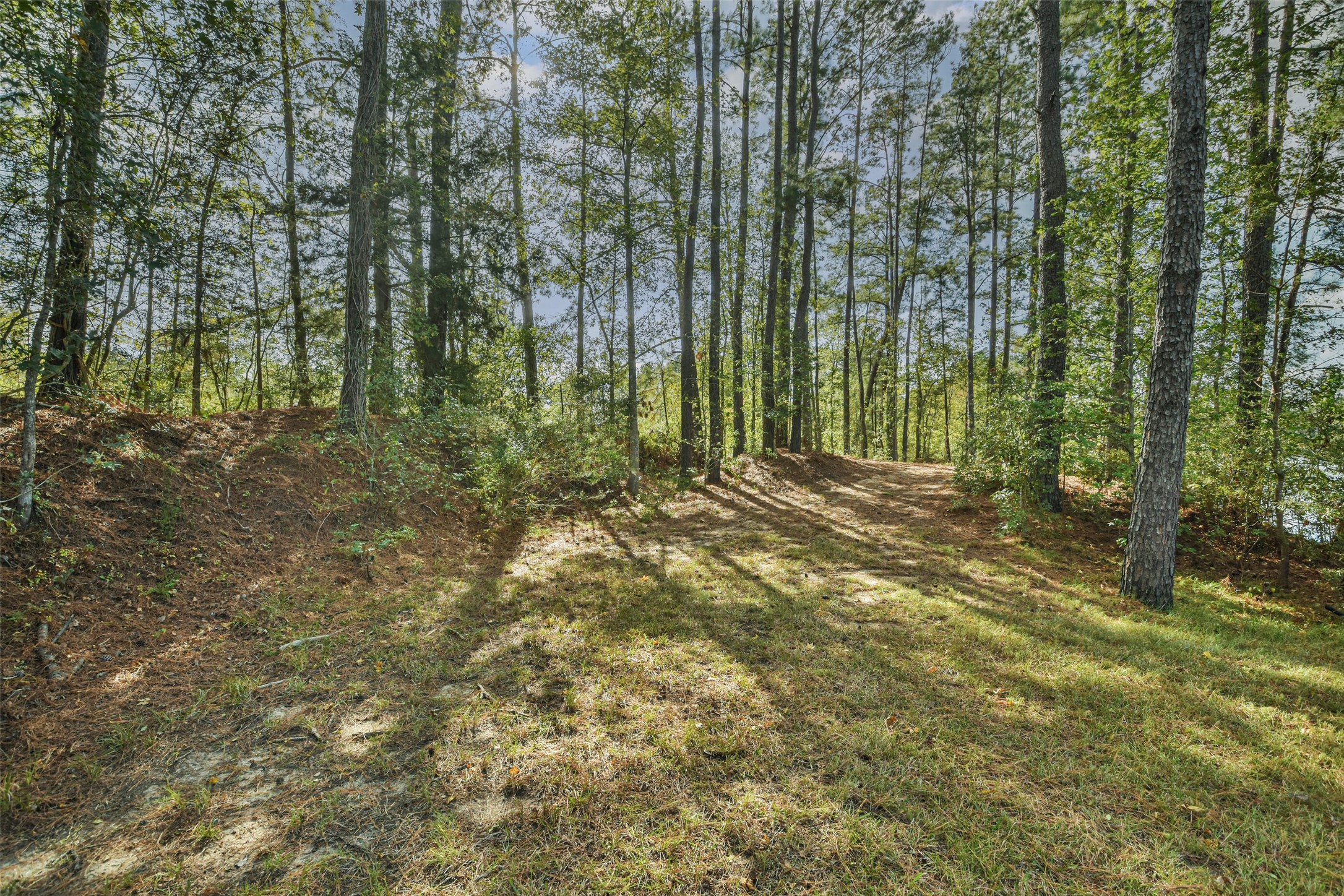 55 Nottingham Island Property Photo 16