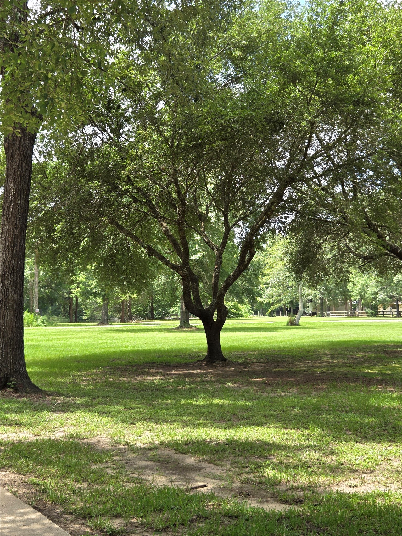 26815 E Fm 2090 Road Property Photo 41