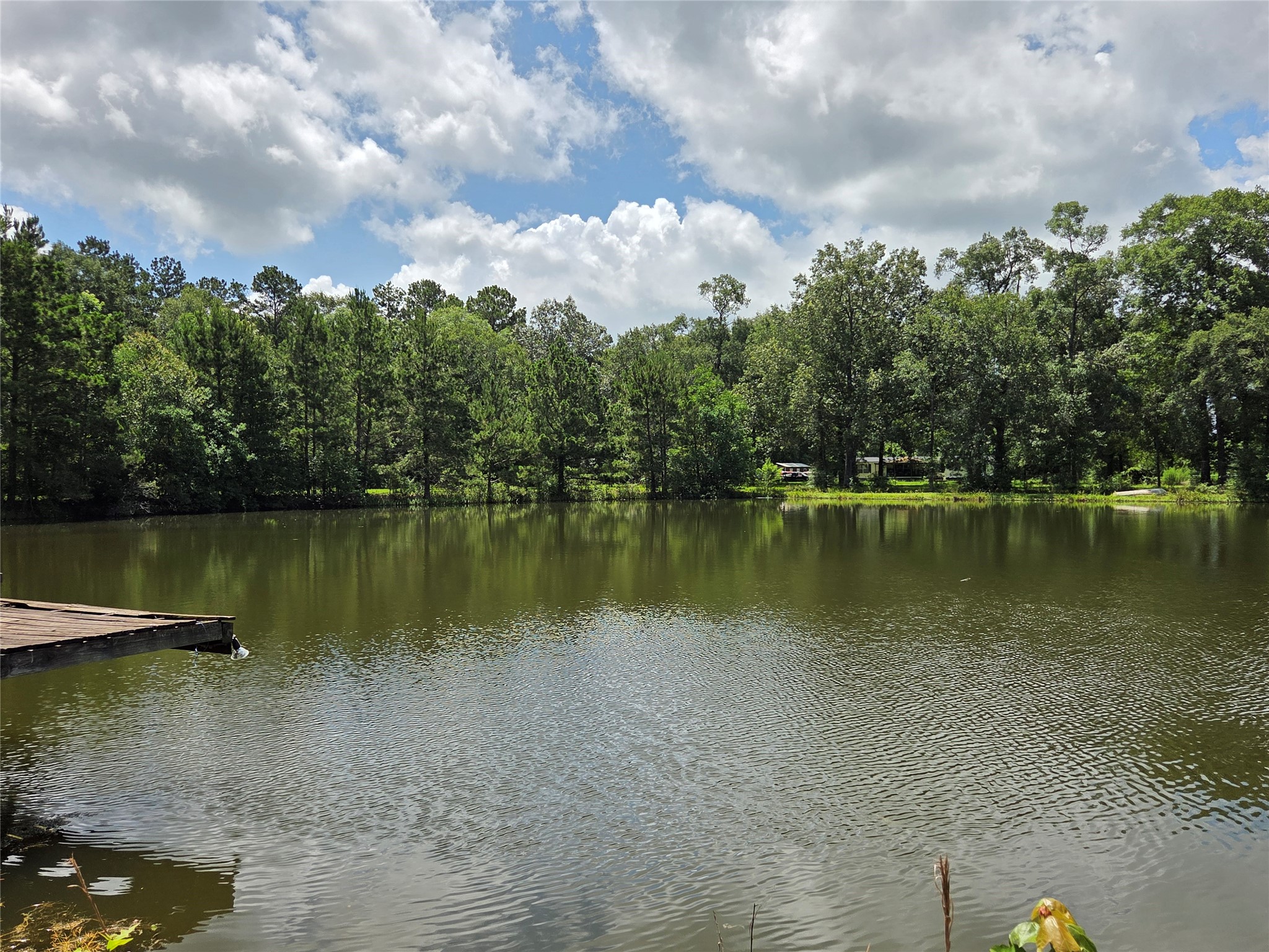 26815 E Fm 2090 Road Property Photo 44