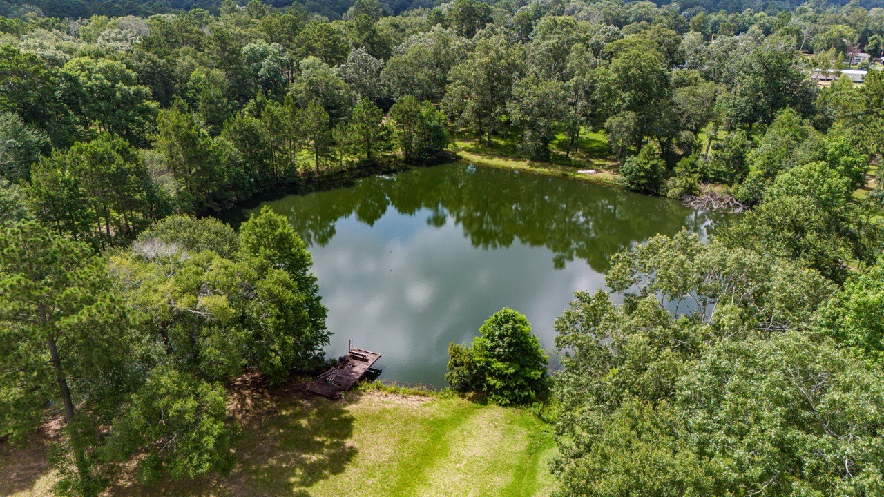 26815 E Fm 2090 Road Property Photo 45