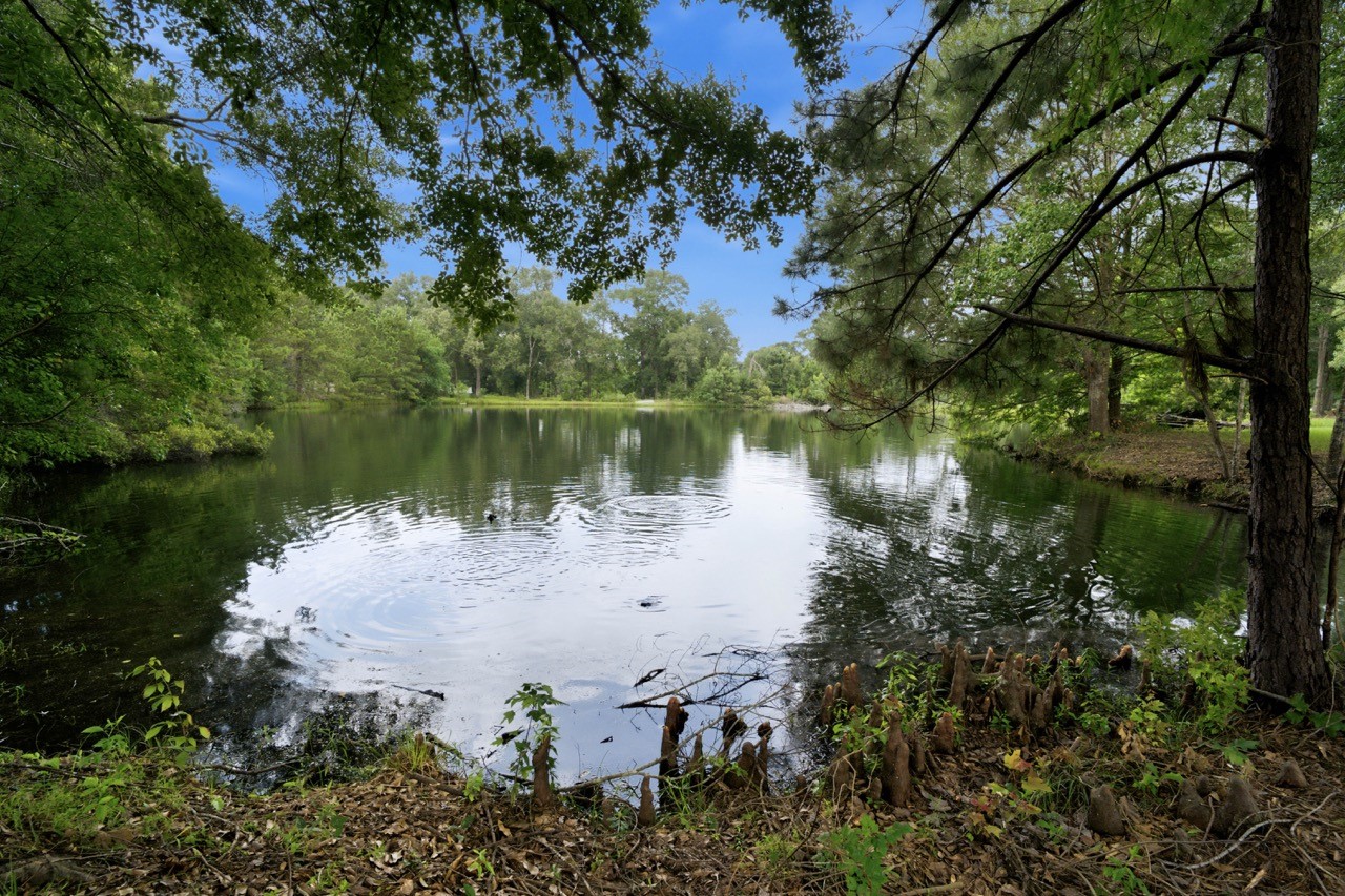 26815 E Fm 2090 Road Property Photo 47