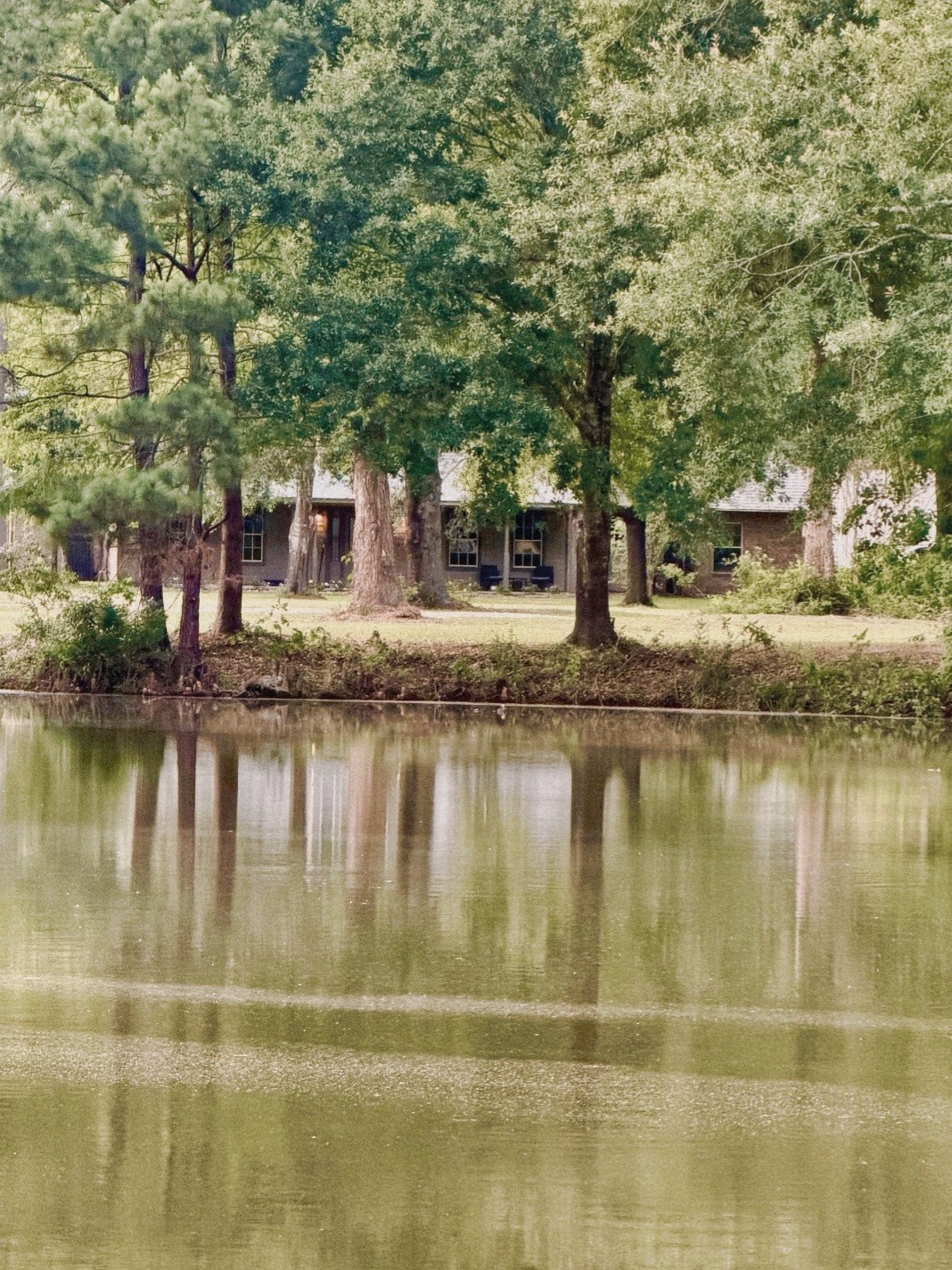 26815 E Fm 2090 Road Property Photo 49