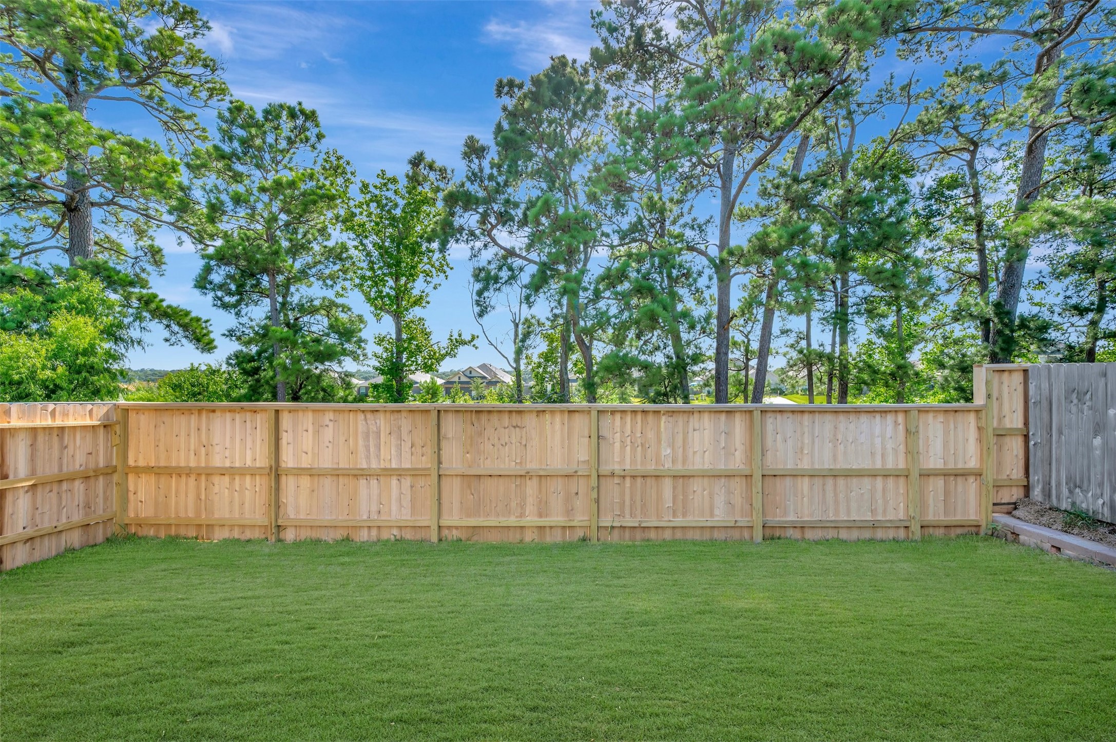 10346 Navarro Path Property Photo 13
