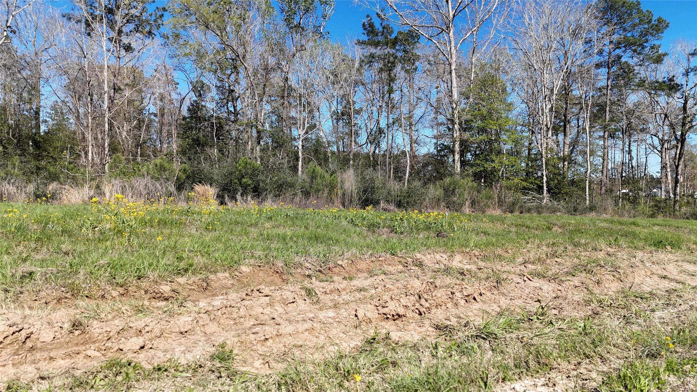 Tbd 8 & 9 Aggie Avenue Property Photo 4