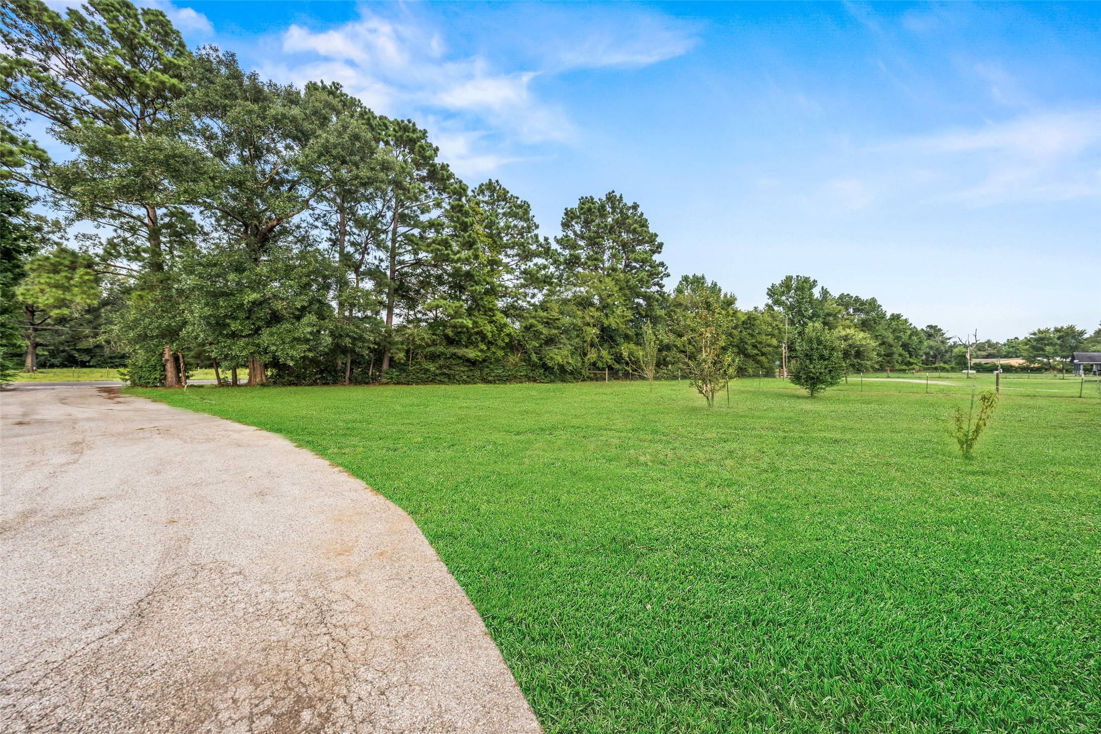 11170 Fm 1725 Road Property Photo 3
