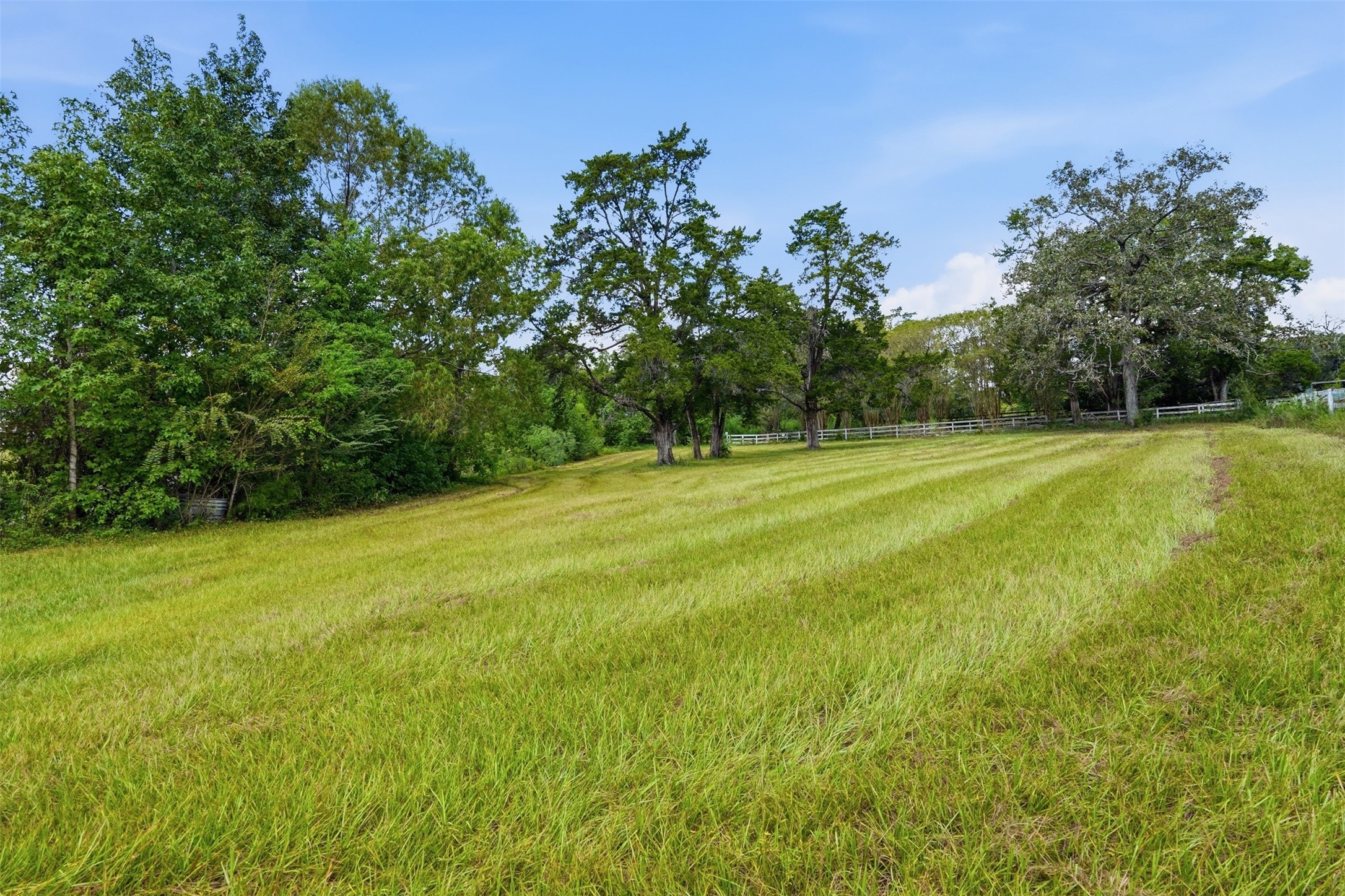 11802 N Highway 75 Property Photo 13