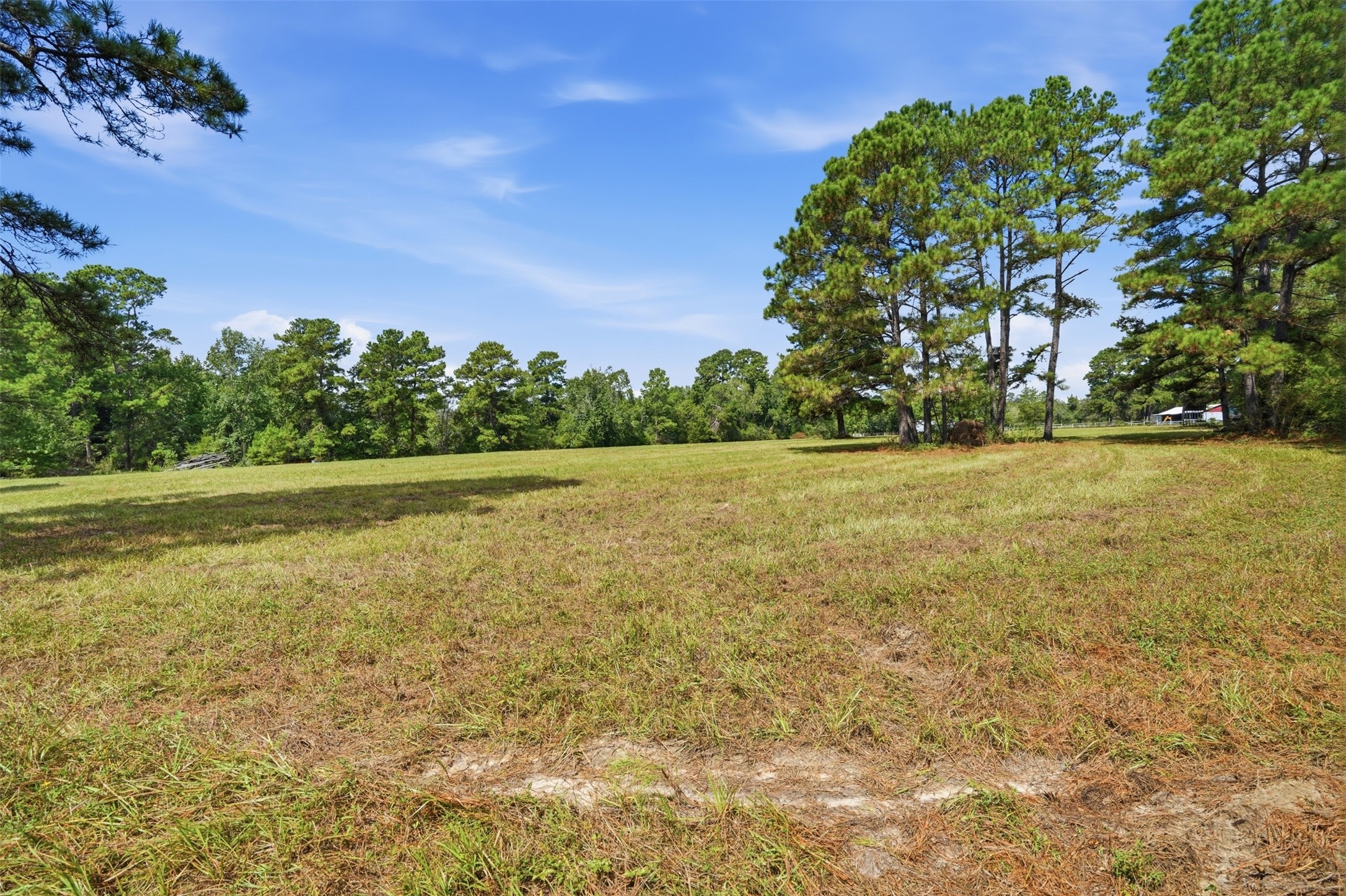 11802 N Highway 75 Property Photo 14