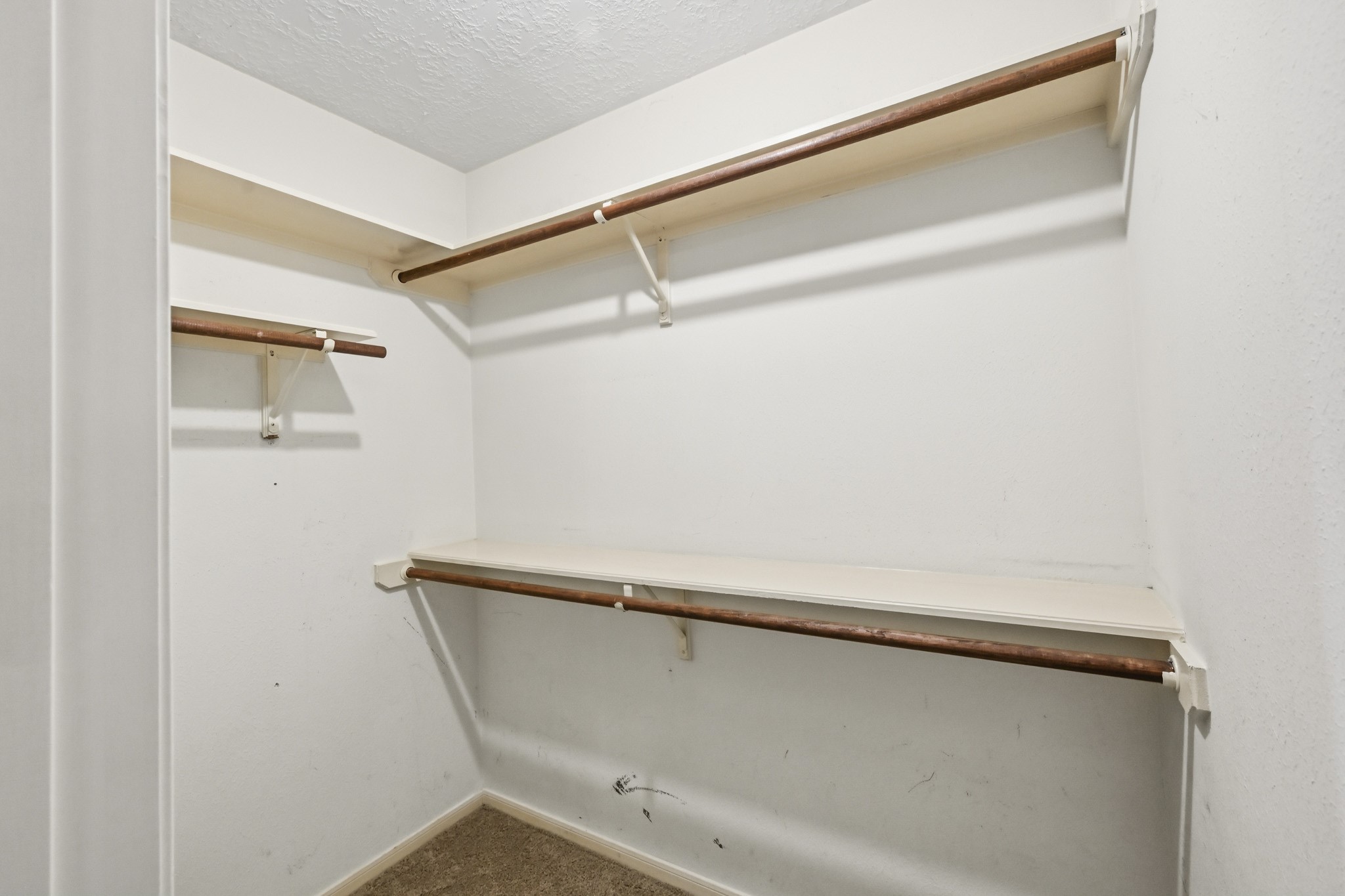 17010 Quiet Dale Court Property Photo 13