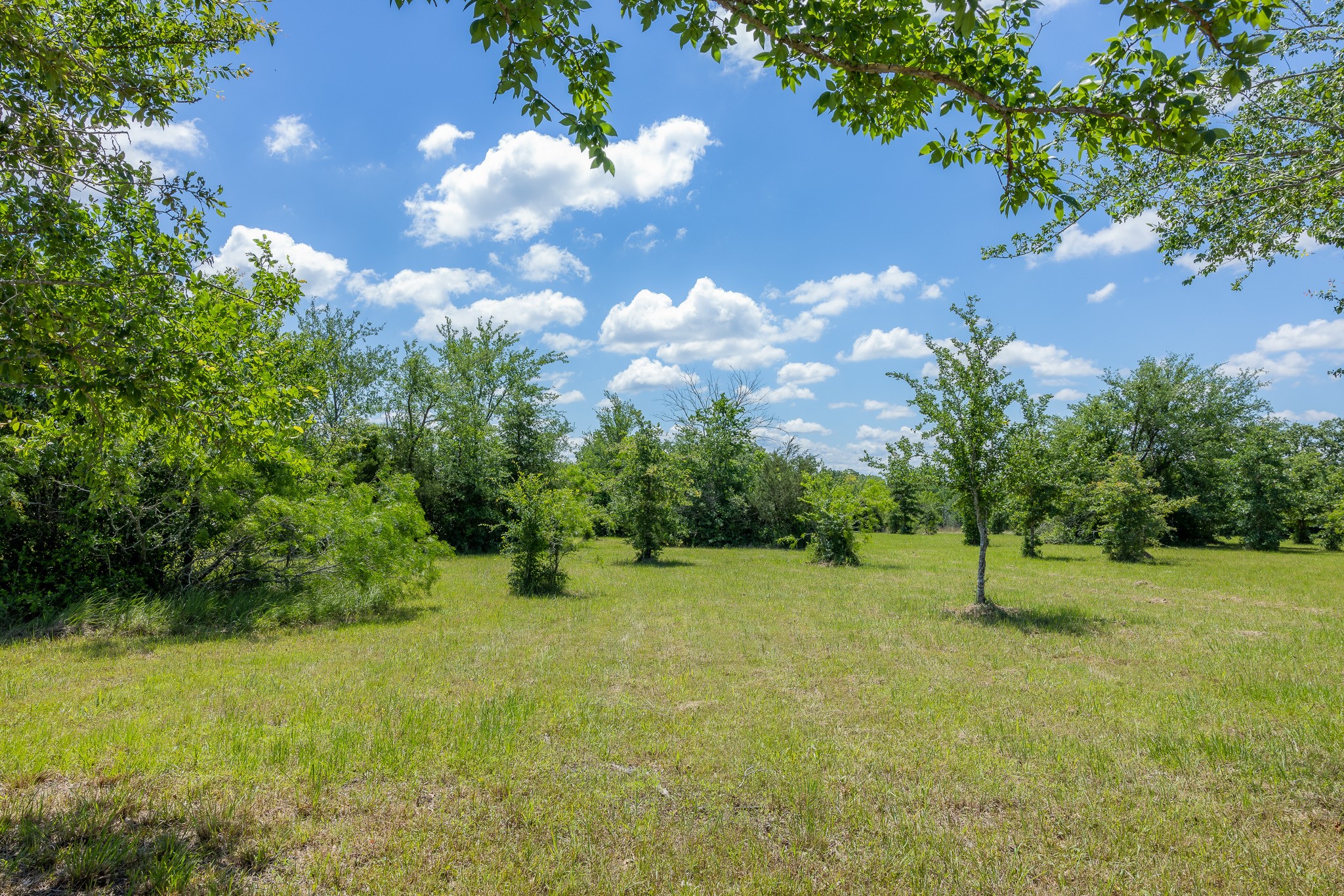 6798 Atakapan Trail Property Photo 19