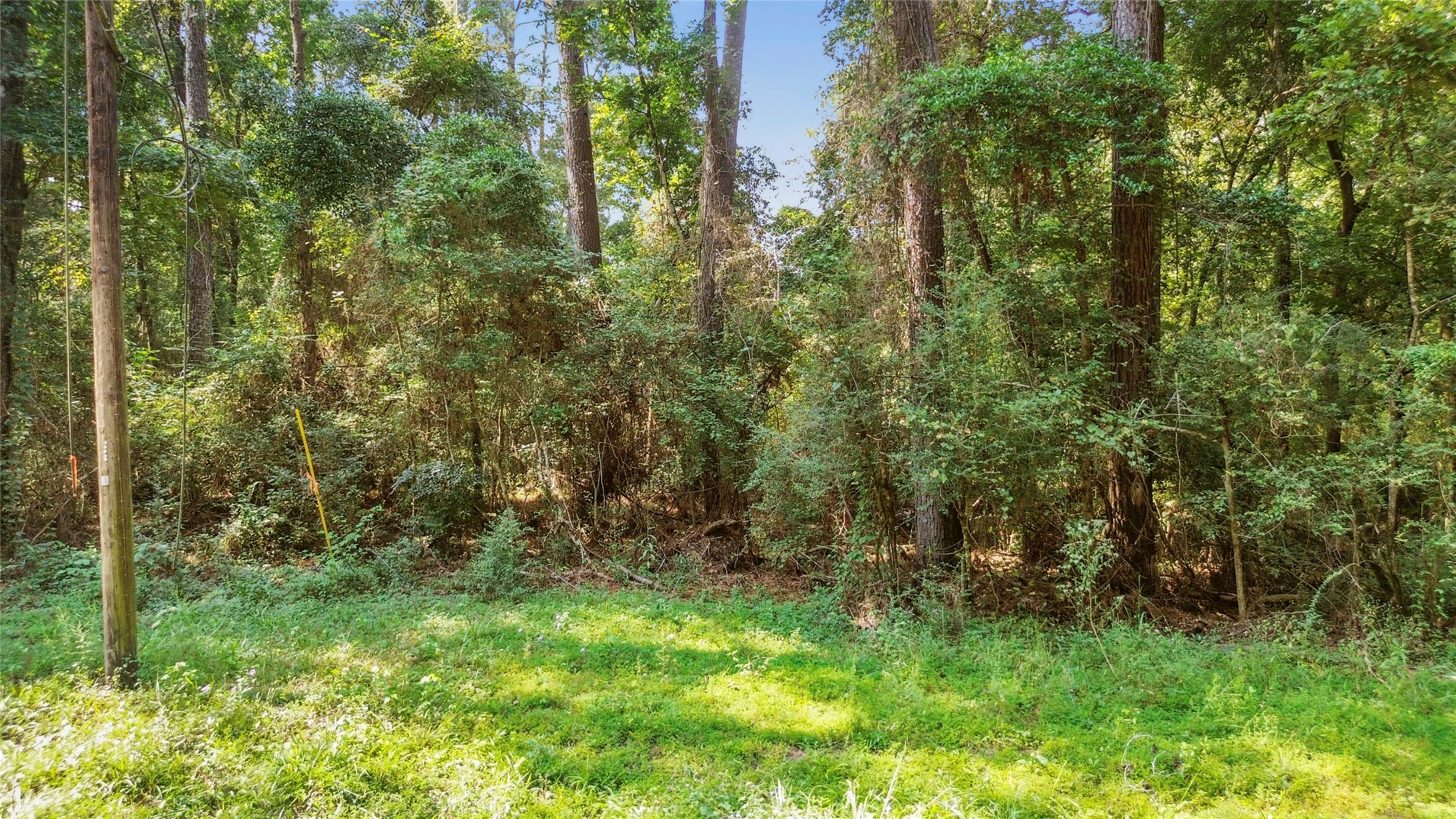 12865 Royal Forest Dr Property Photo 1