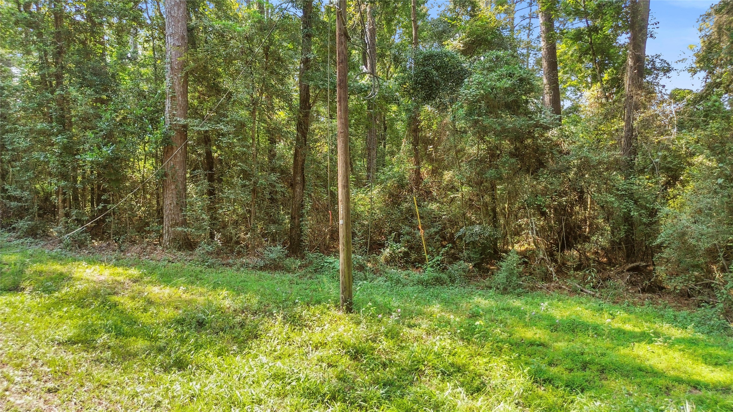 12865 Royal Forest Dr Property Photo 2