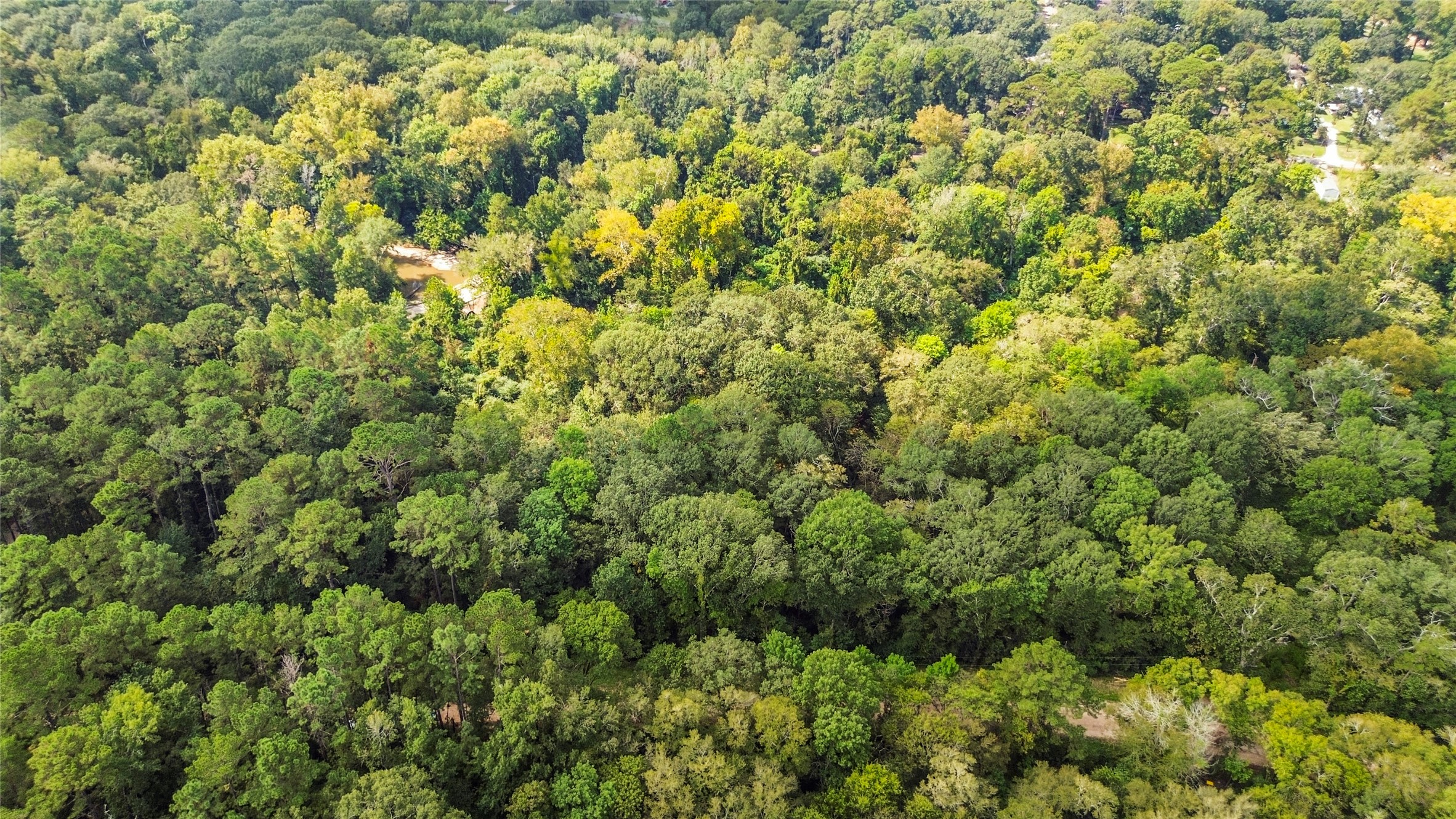 12865 Royal Forest Dr Property Photo 3
