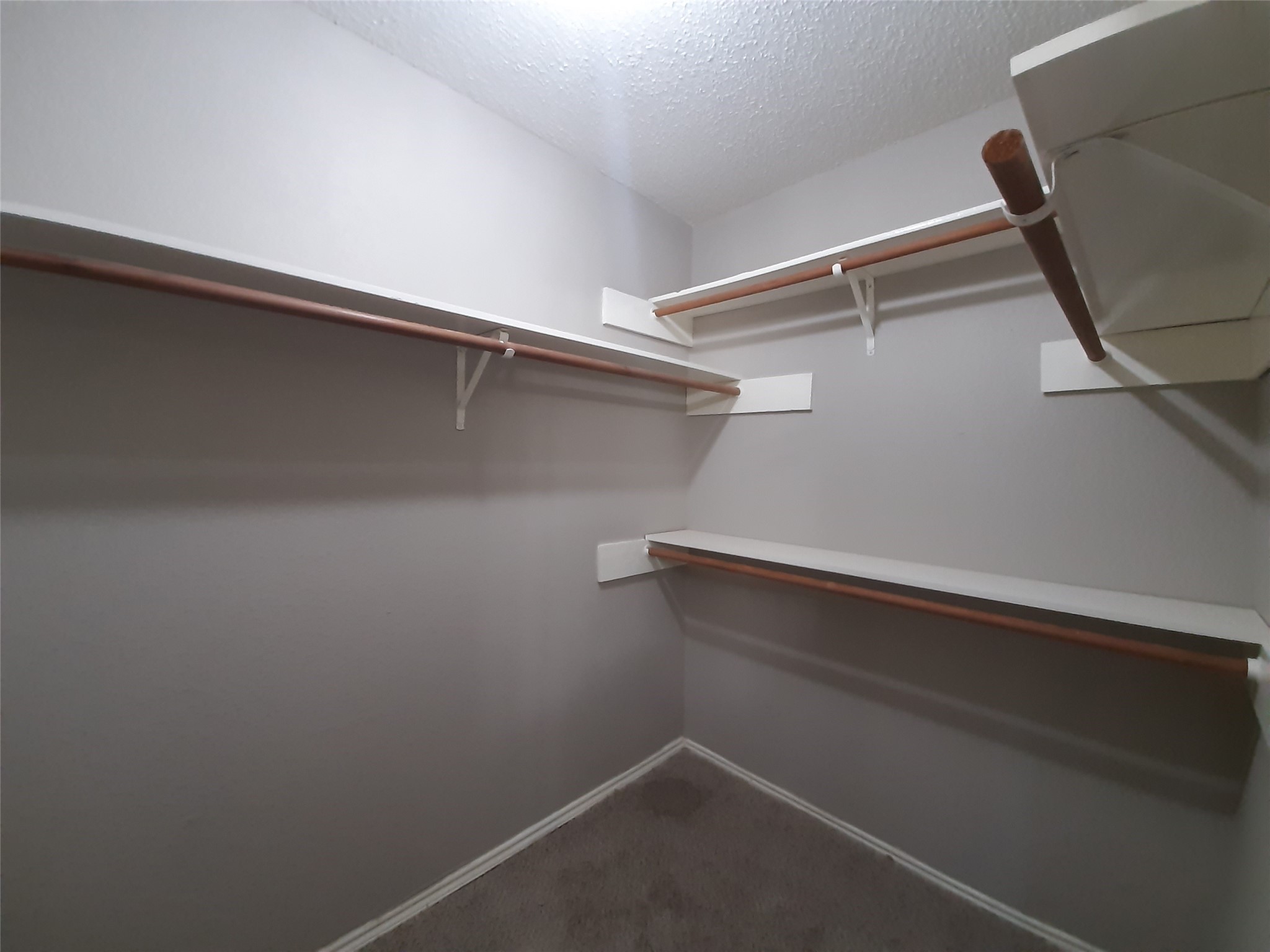 8406 Woodland Willows Drive Property Photo 26