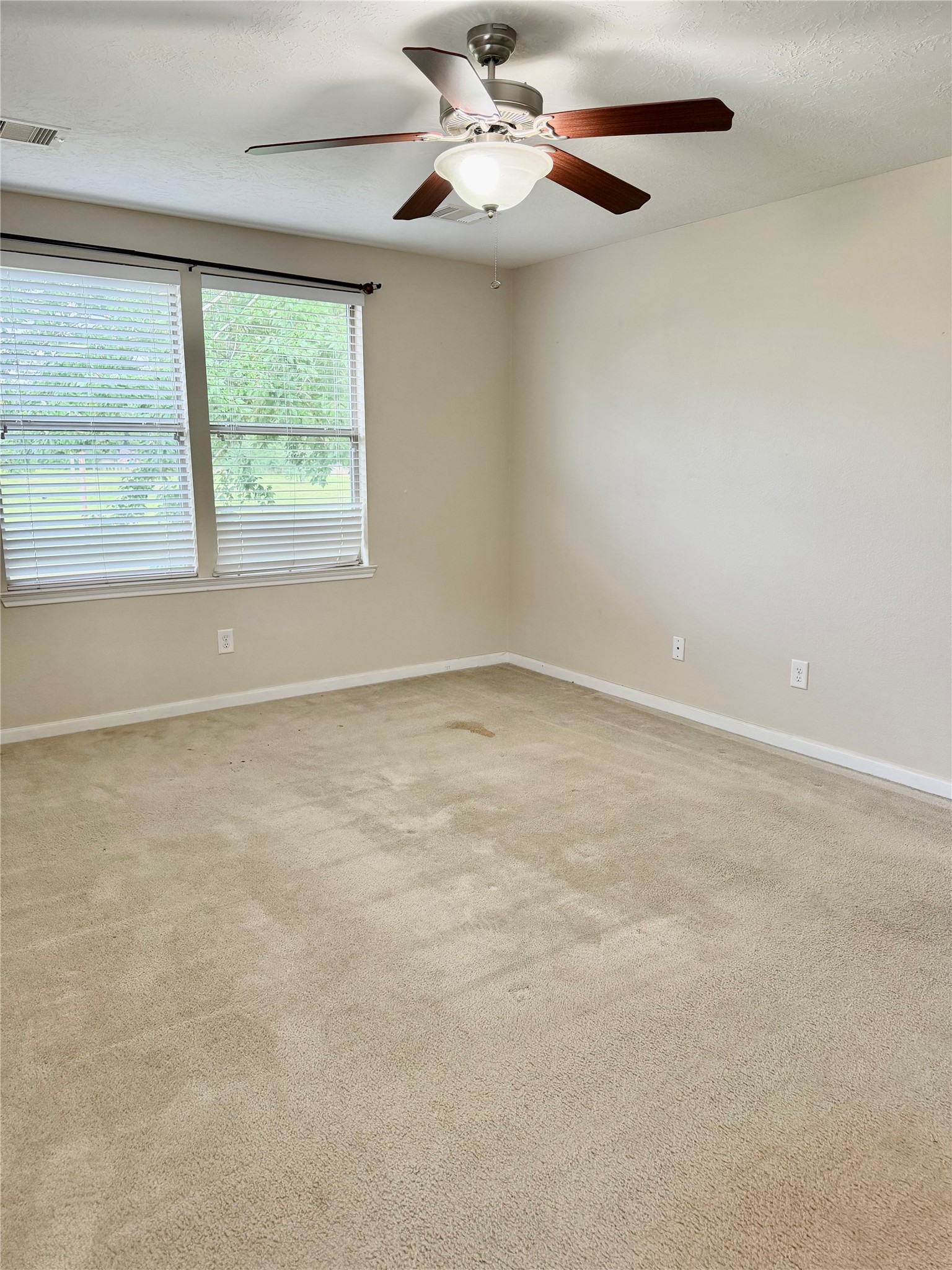 16010 Limestone Lake Drive Property Photo 22