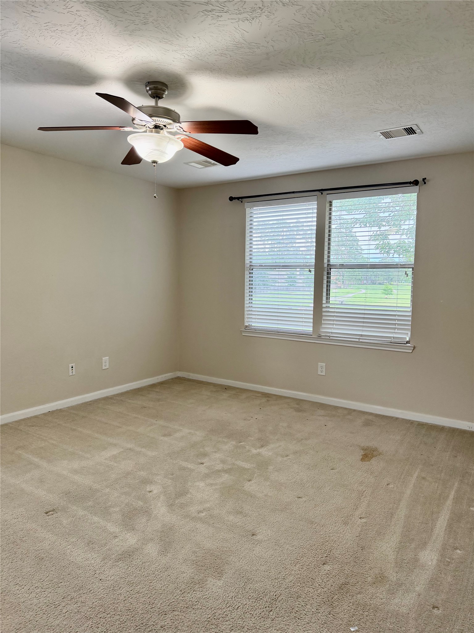 16010 Limestone Lake Drive Property Photo 31