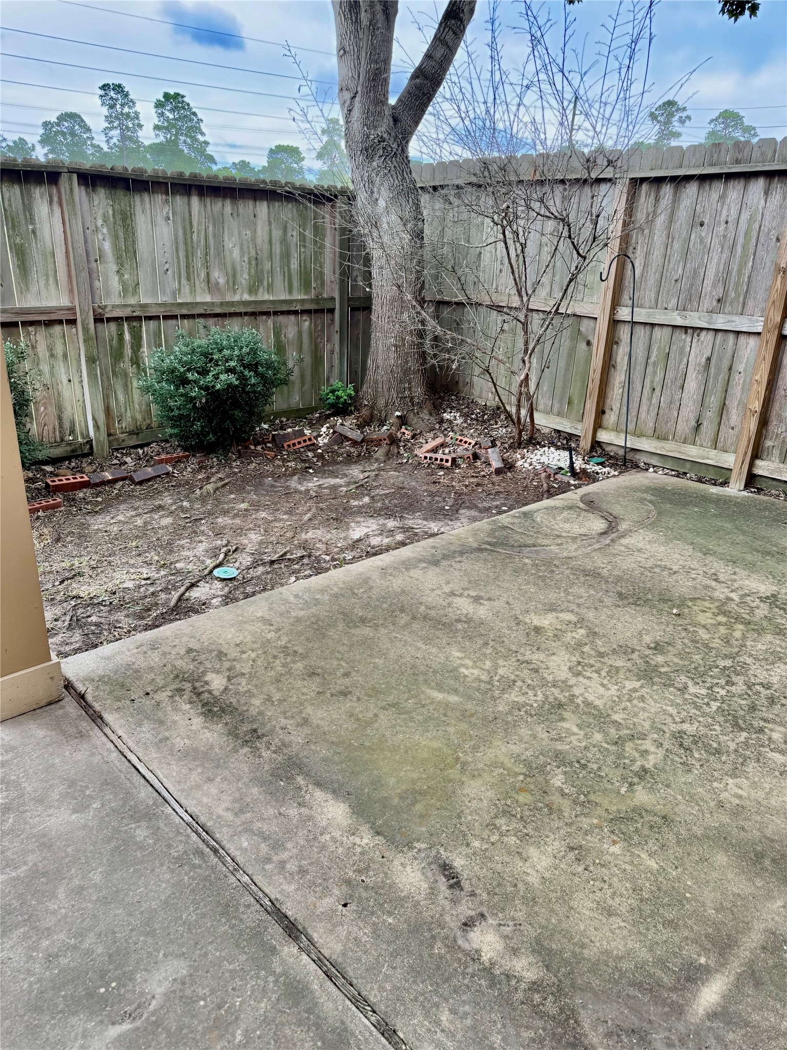 16010 Limestone Lake Drive Property Photo 34