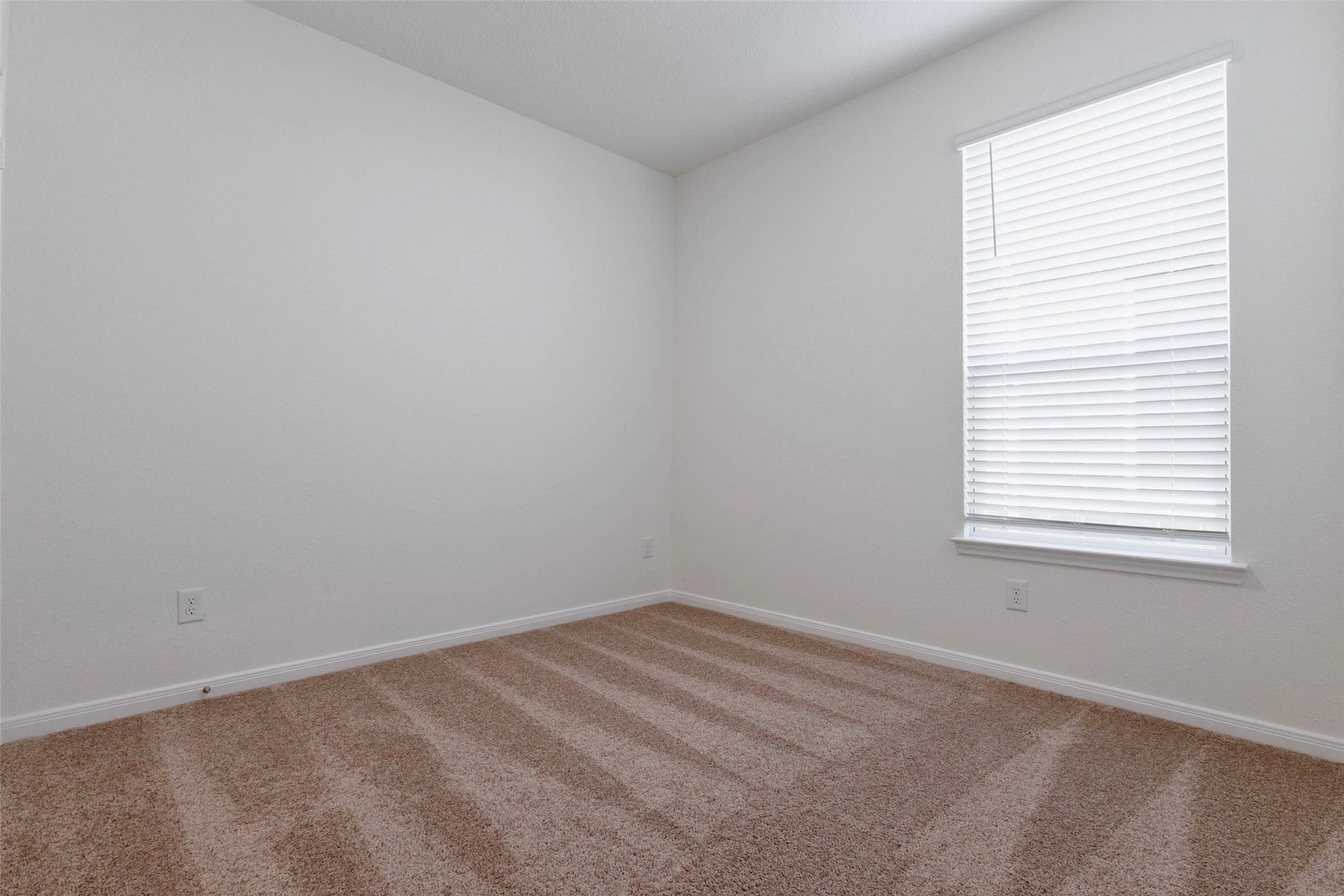 25418 Saguaro Ridge Drive Property Photo 19