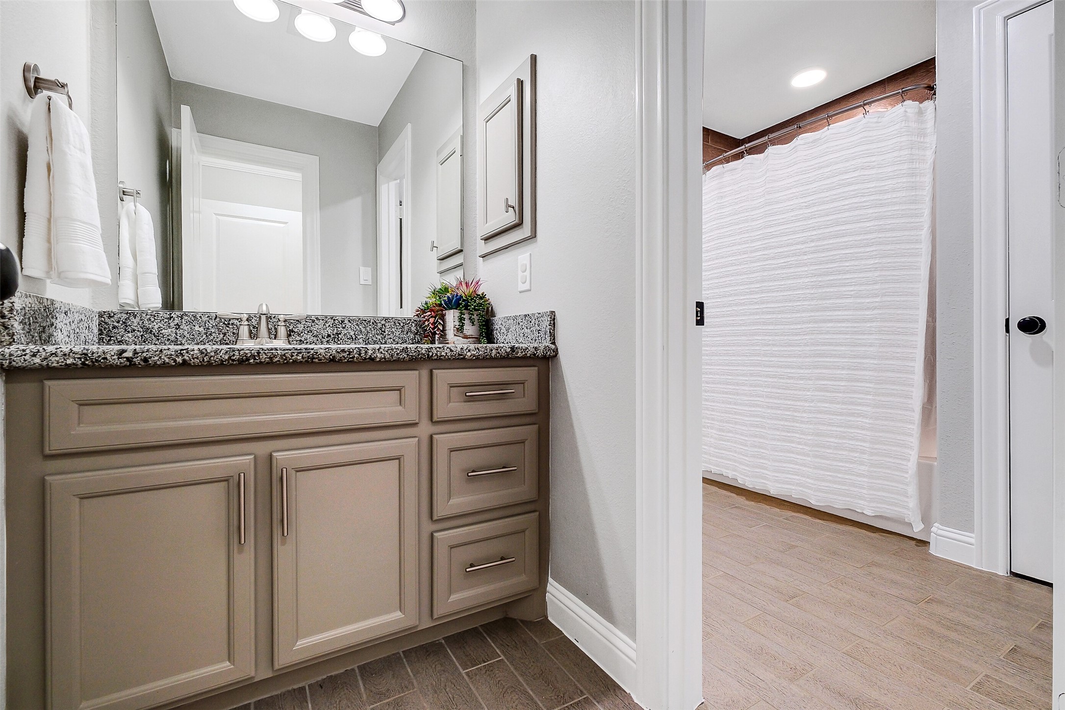 11834 Bisonte Street Property Photo 24