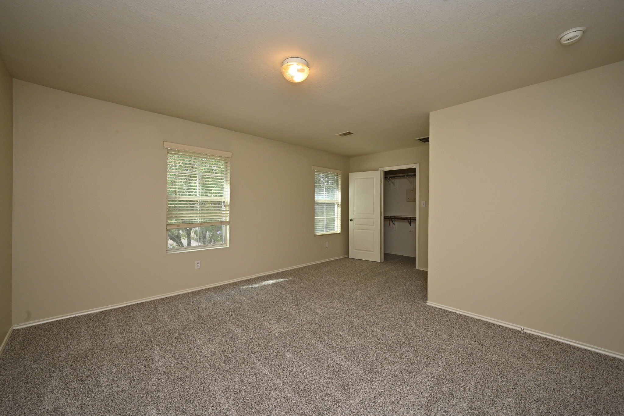 16806 Mammoth Springs Drive Property Photo 11