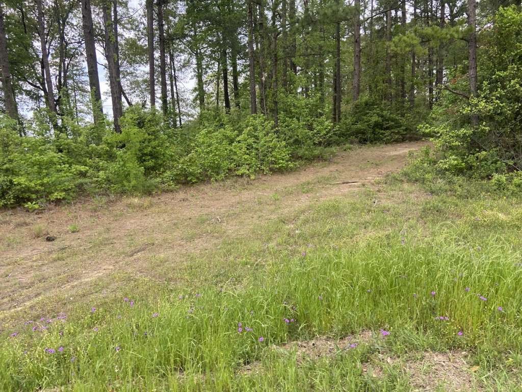 Lot 34 Us Highway 96 Property Photo 2