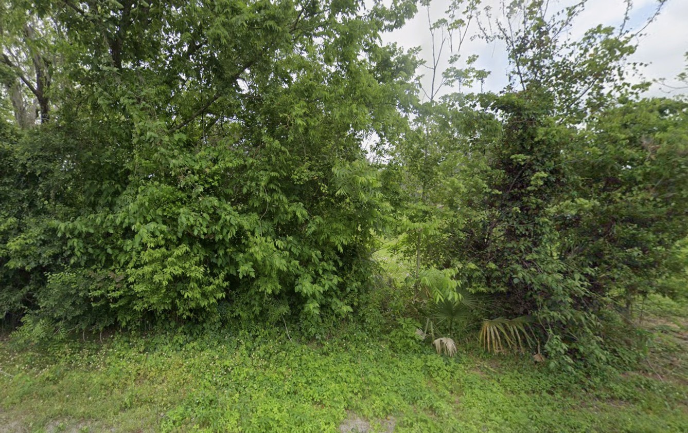 2941-16 County Road 352 Road Property Photo 6