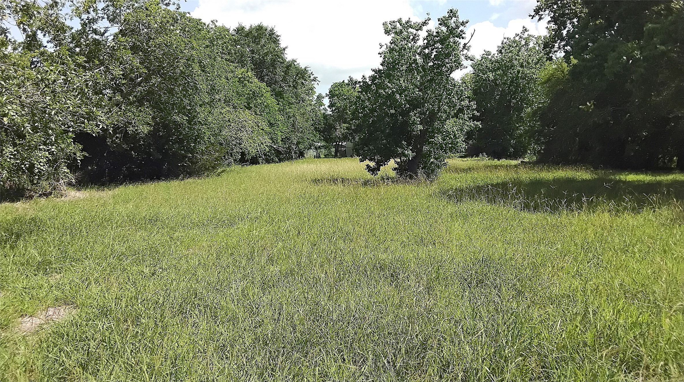 000 N Ben Wilson Street Property Photo 5