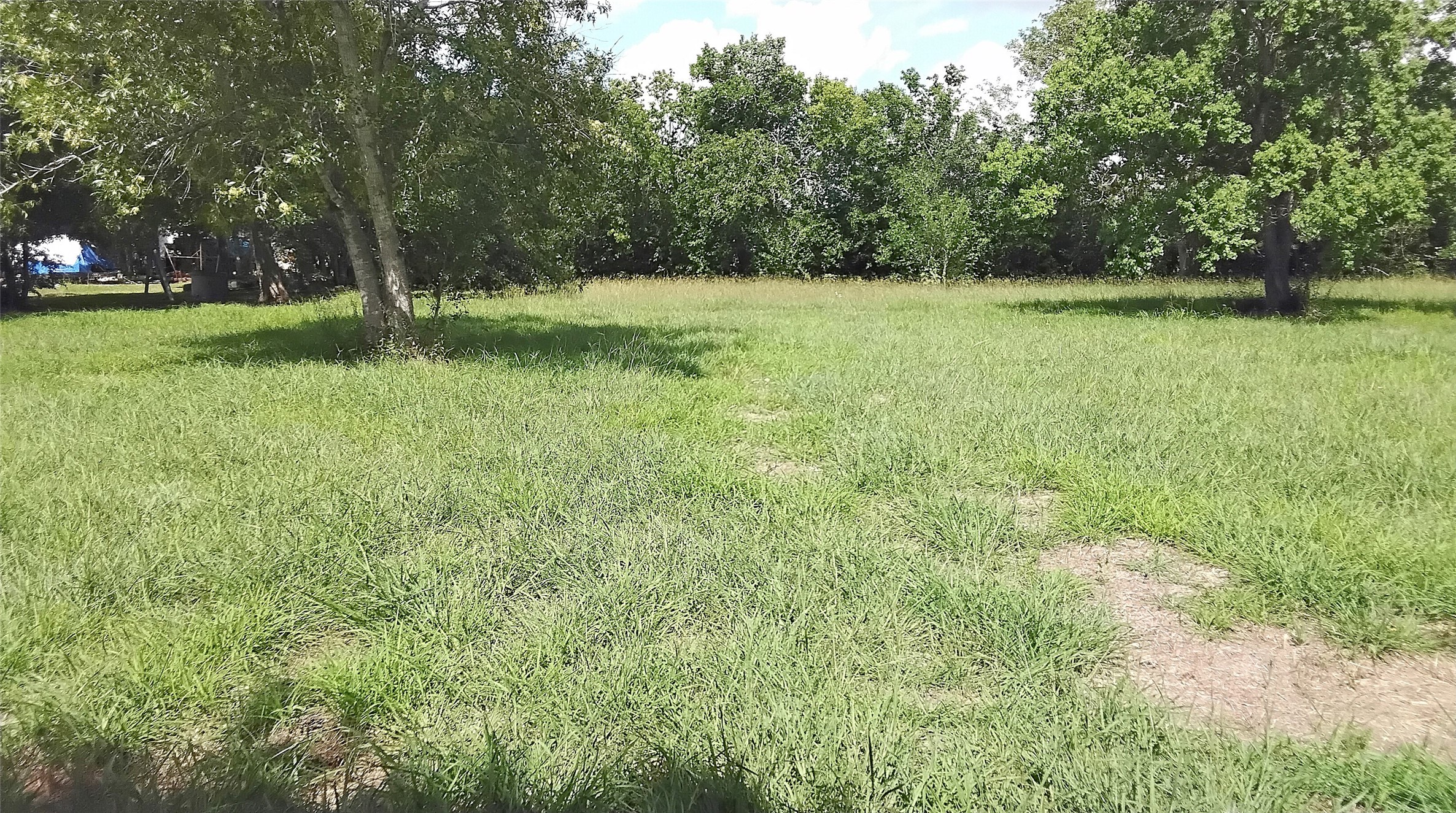 000 N Ben Wilson Street Property Photo 8